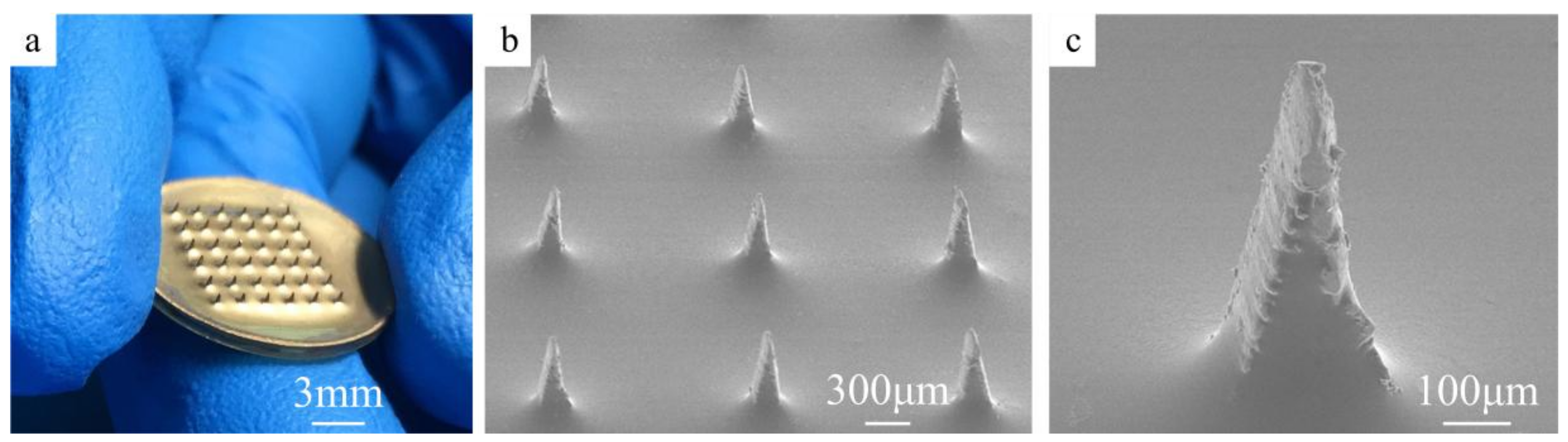 Sensors 18 01193 g004