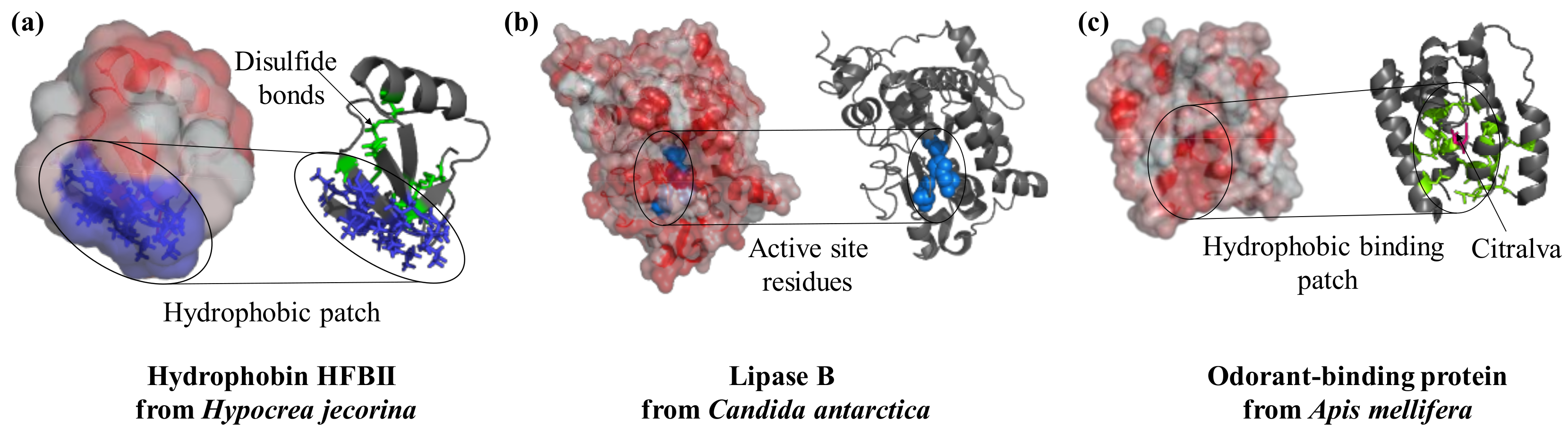 Sensors 18 01204 g001 Sensors 18 01204 g001