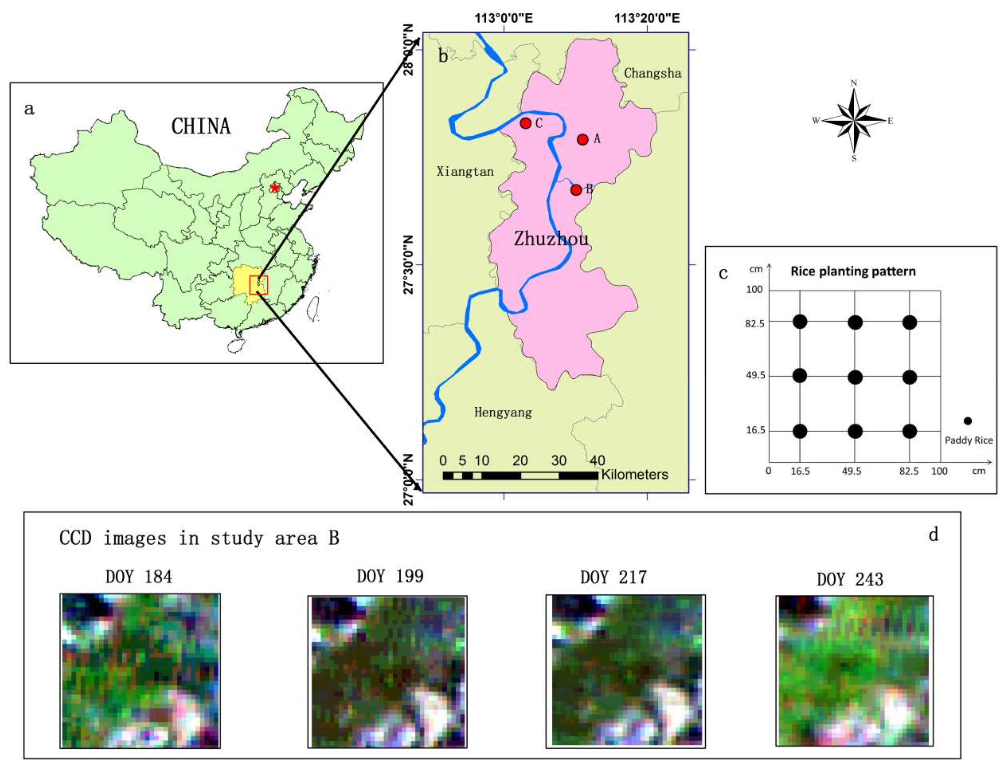 Sensors 18 01230 g001