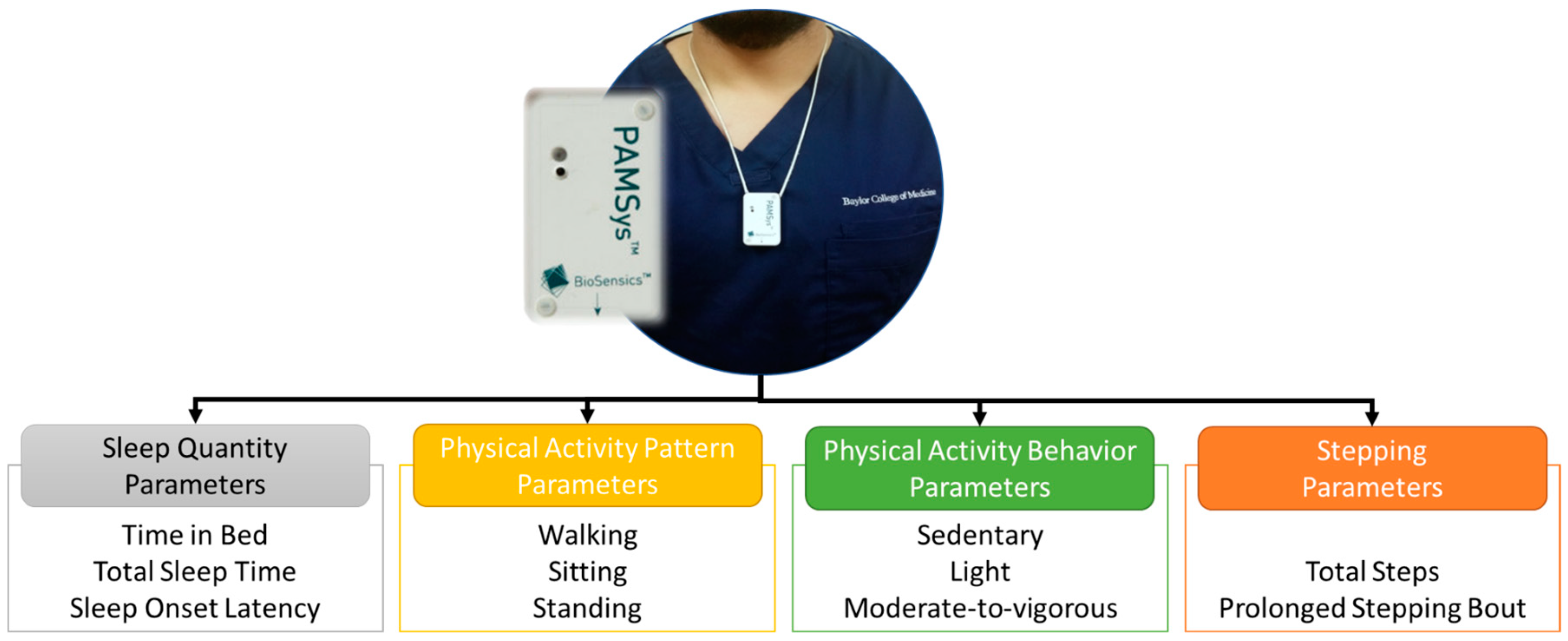 Sensors 18 01336 g001