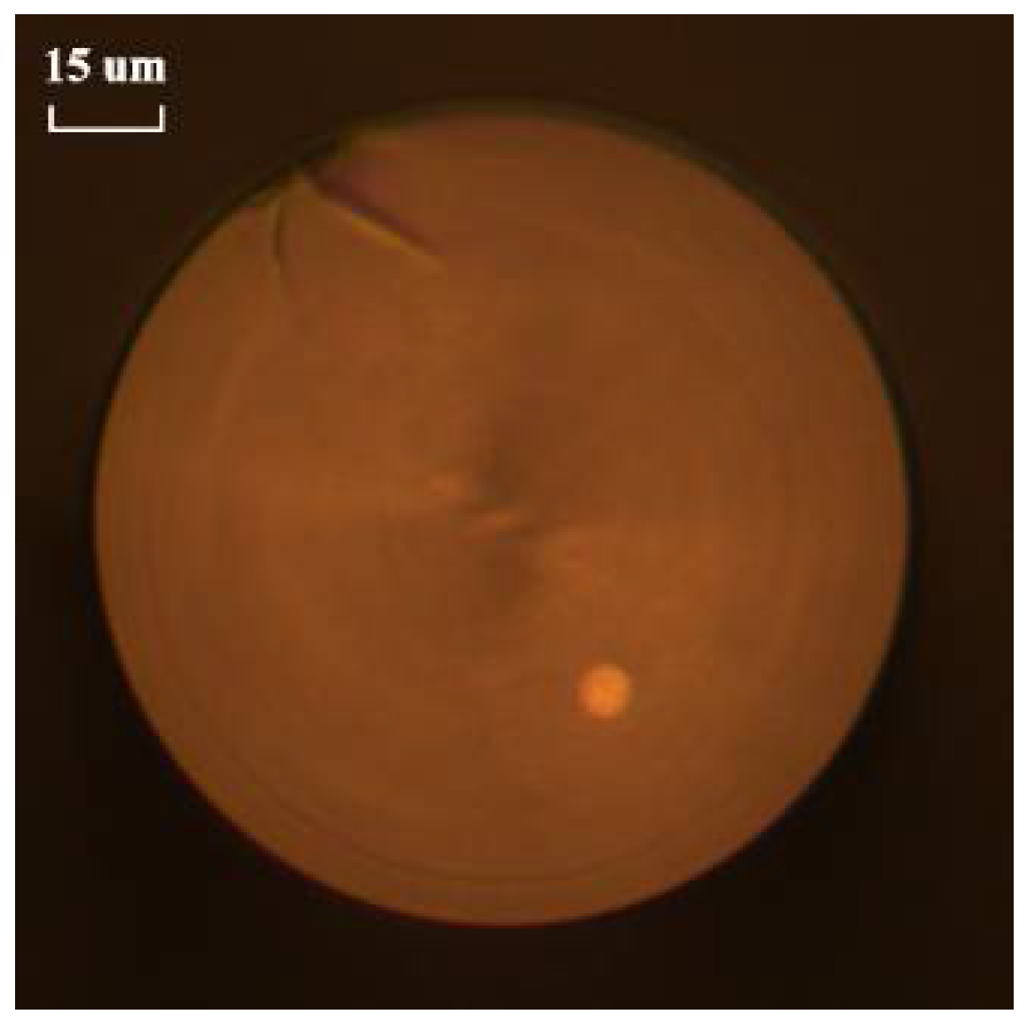 Sensors 18 01540 g005 Sensors 18 01540 g005