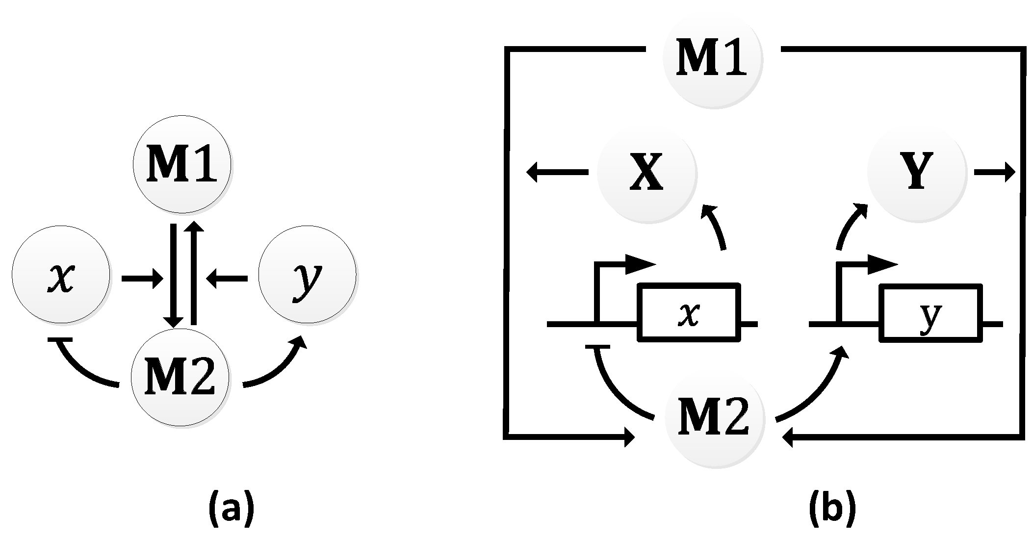 Sensors 18 01544 g015