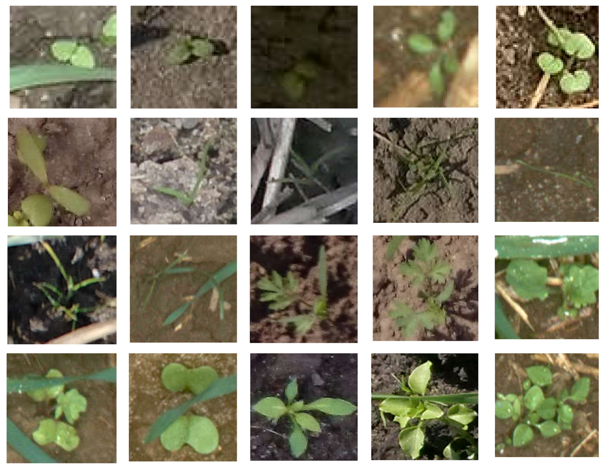 Sensors 18 01580 g002a