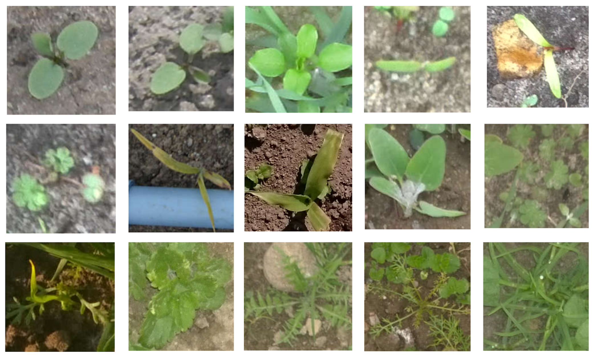 Sensors 18 01580 g002b