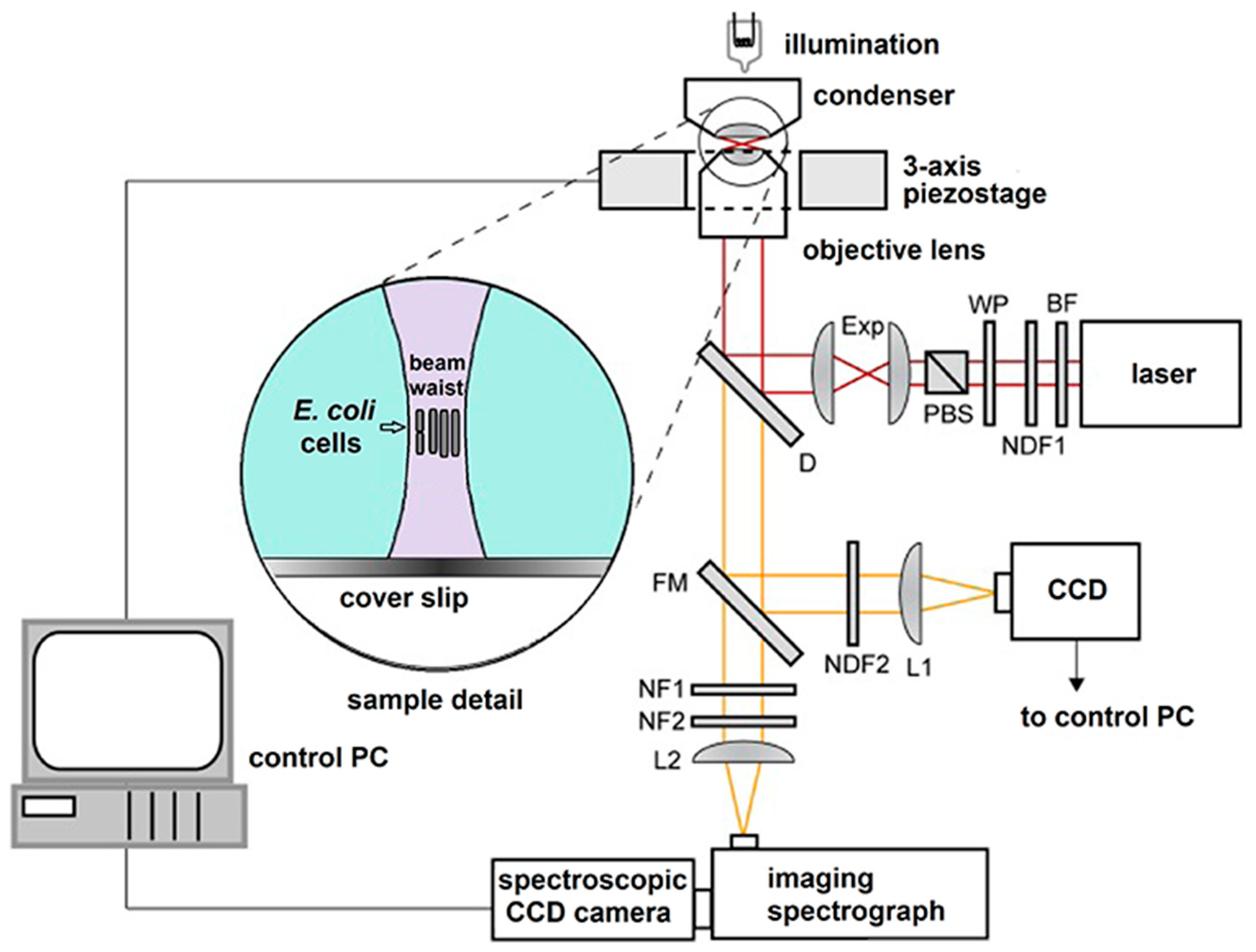 Sensors 18 01623 g002