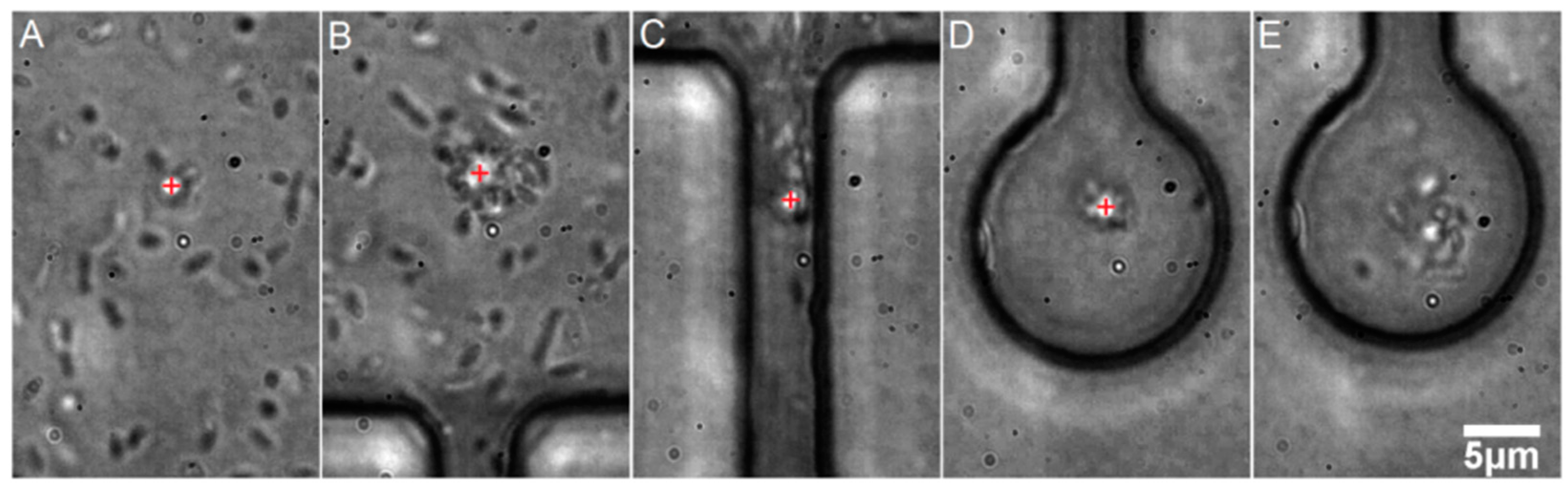 Sensors 18 01623 g004