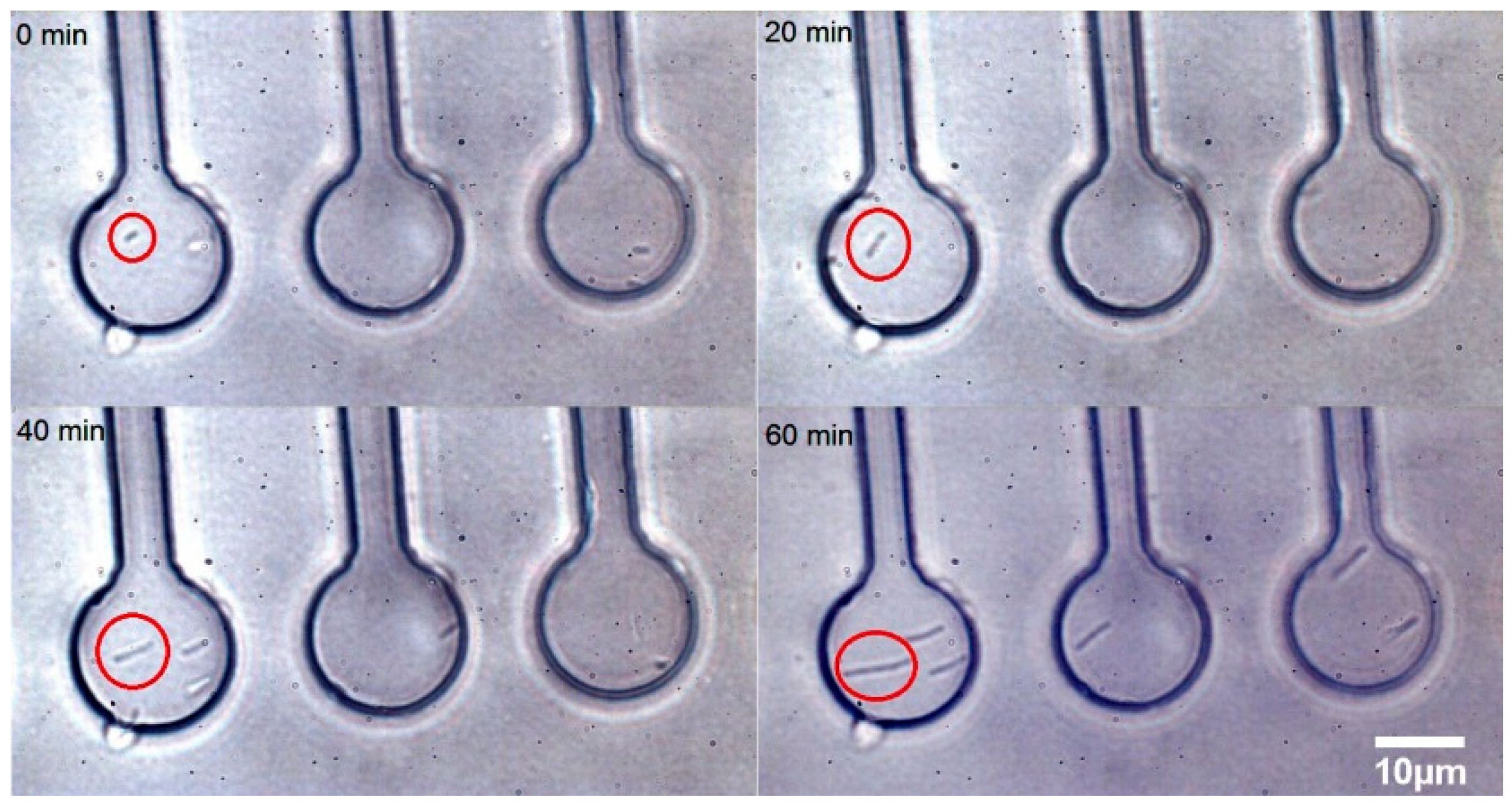 Sensors 18 01623 g005