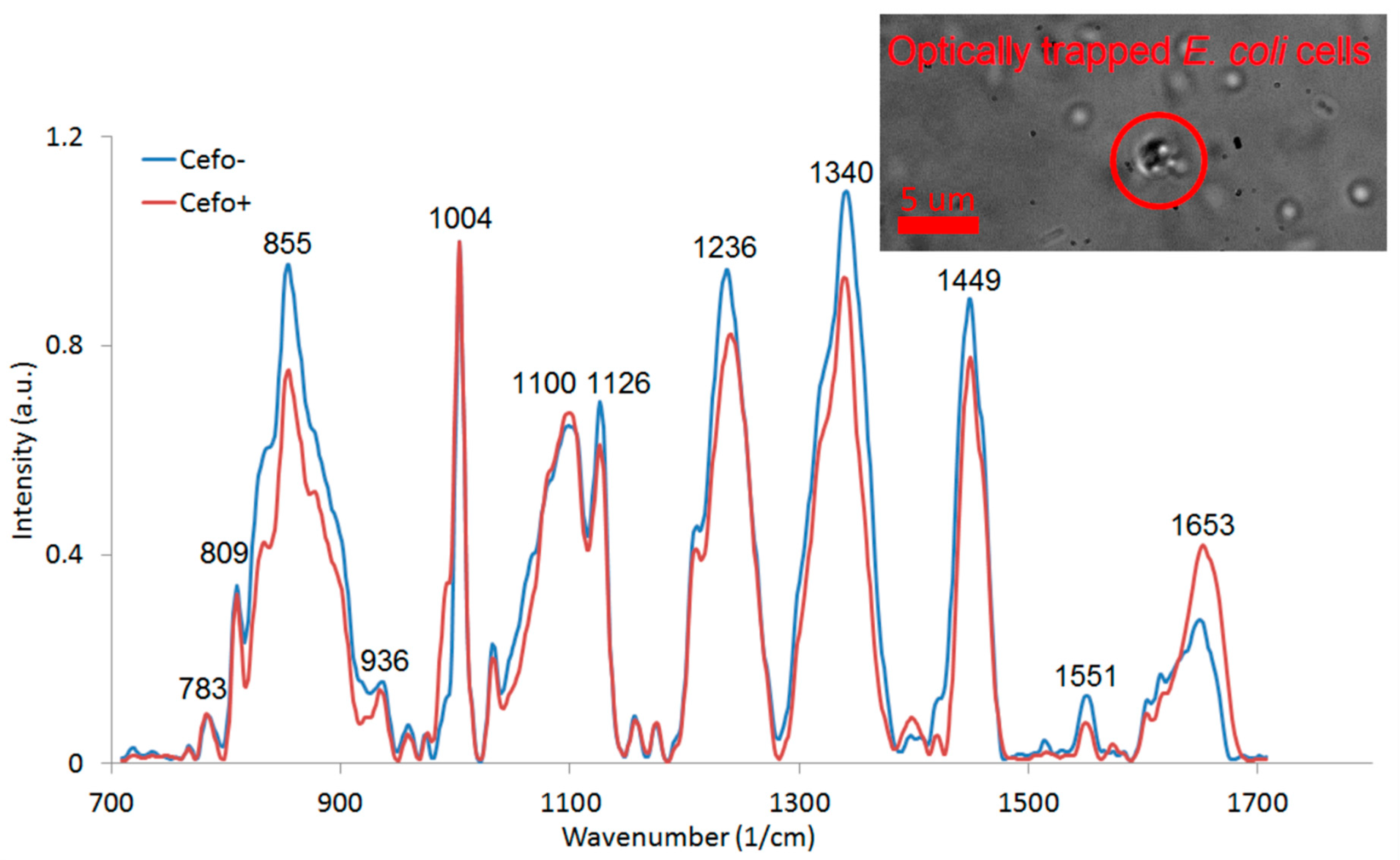 Sensors 18 01623 g006