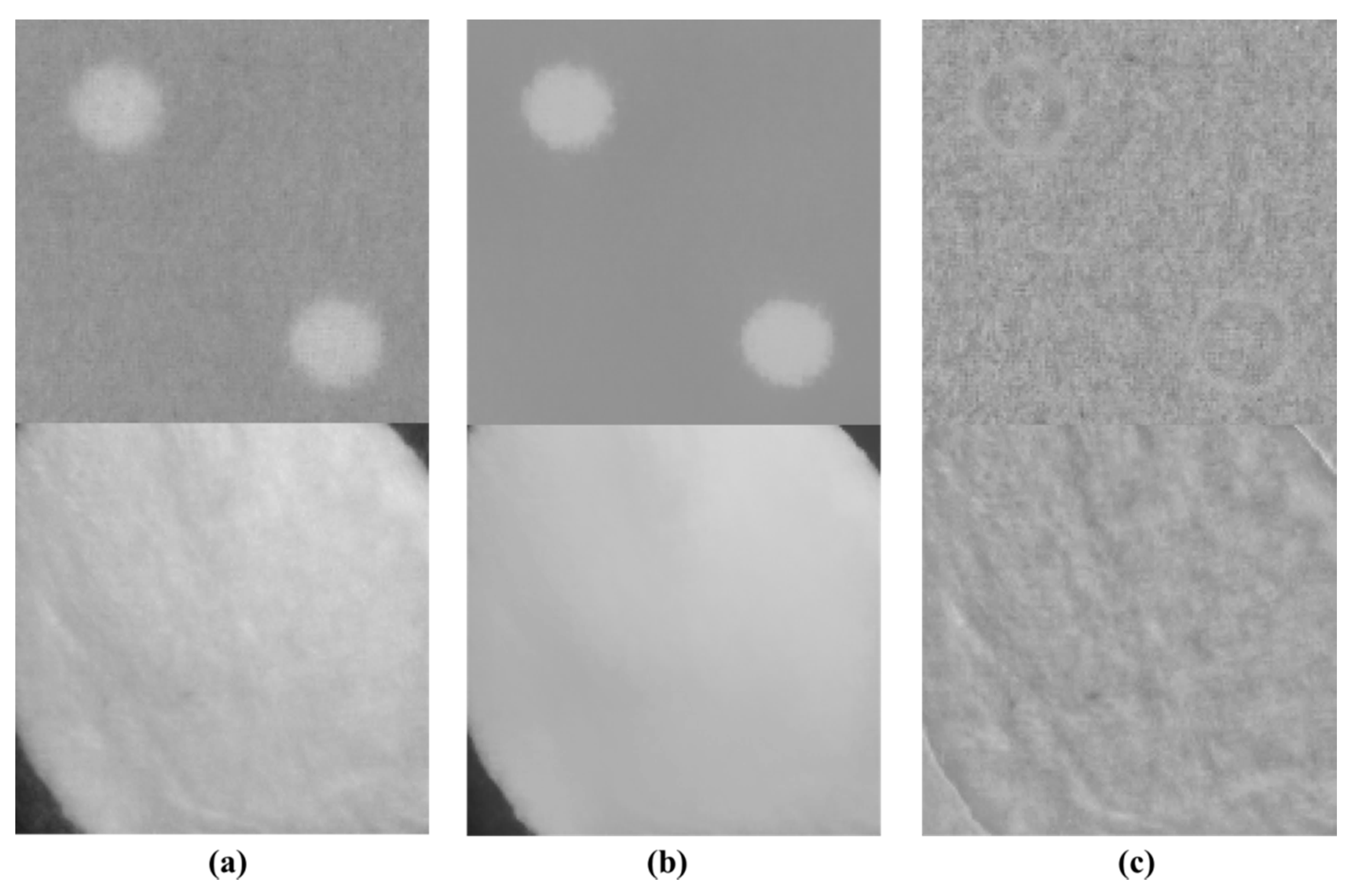 Sensors 18 01647 g005