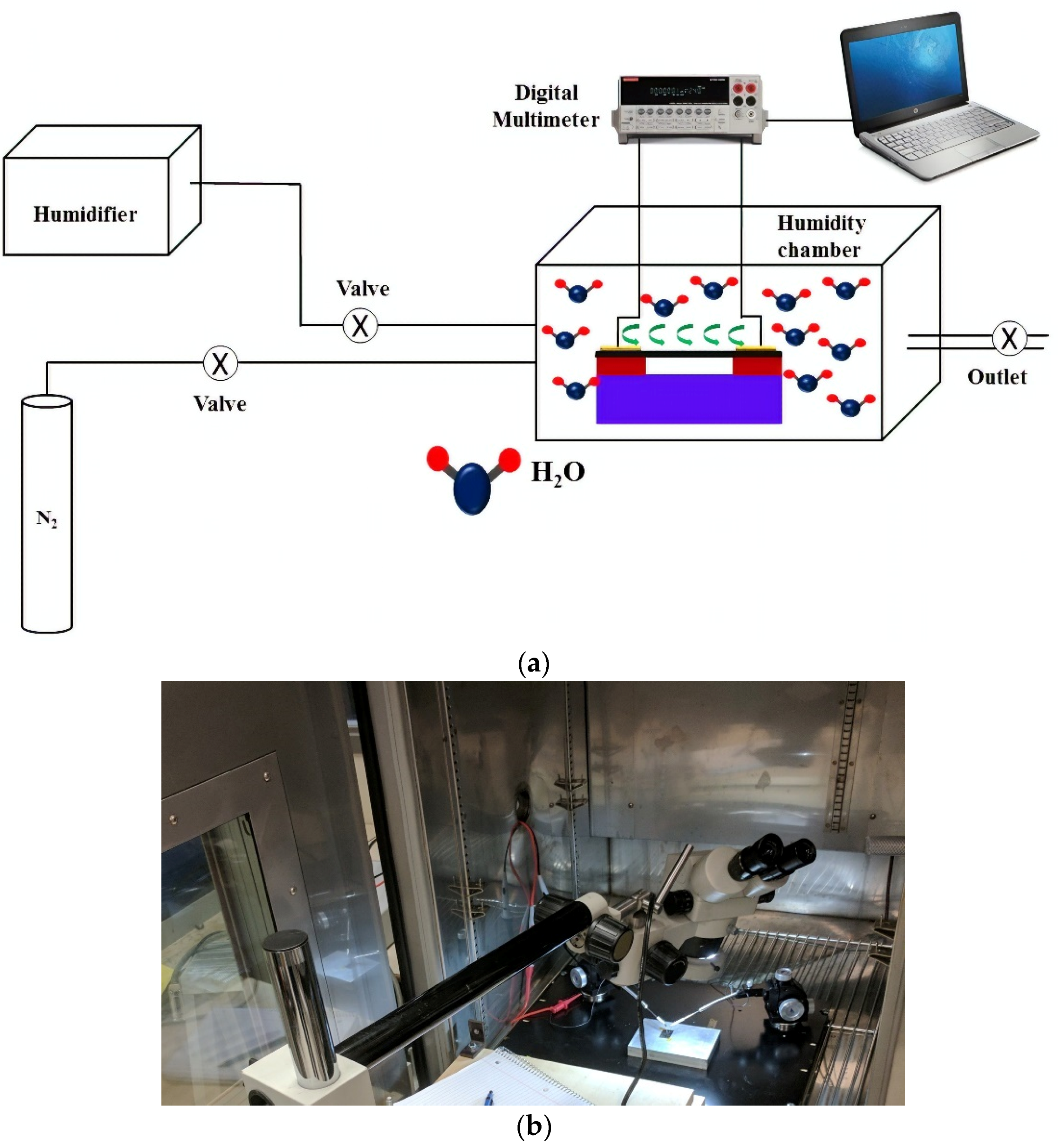 Sensors 18 01655 g003