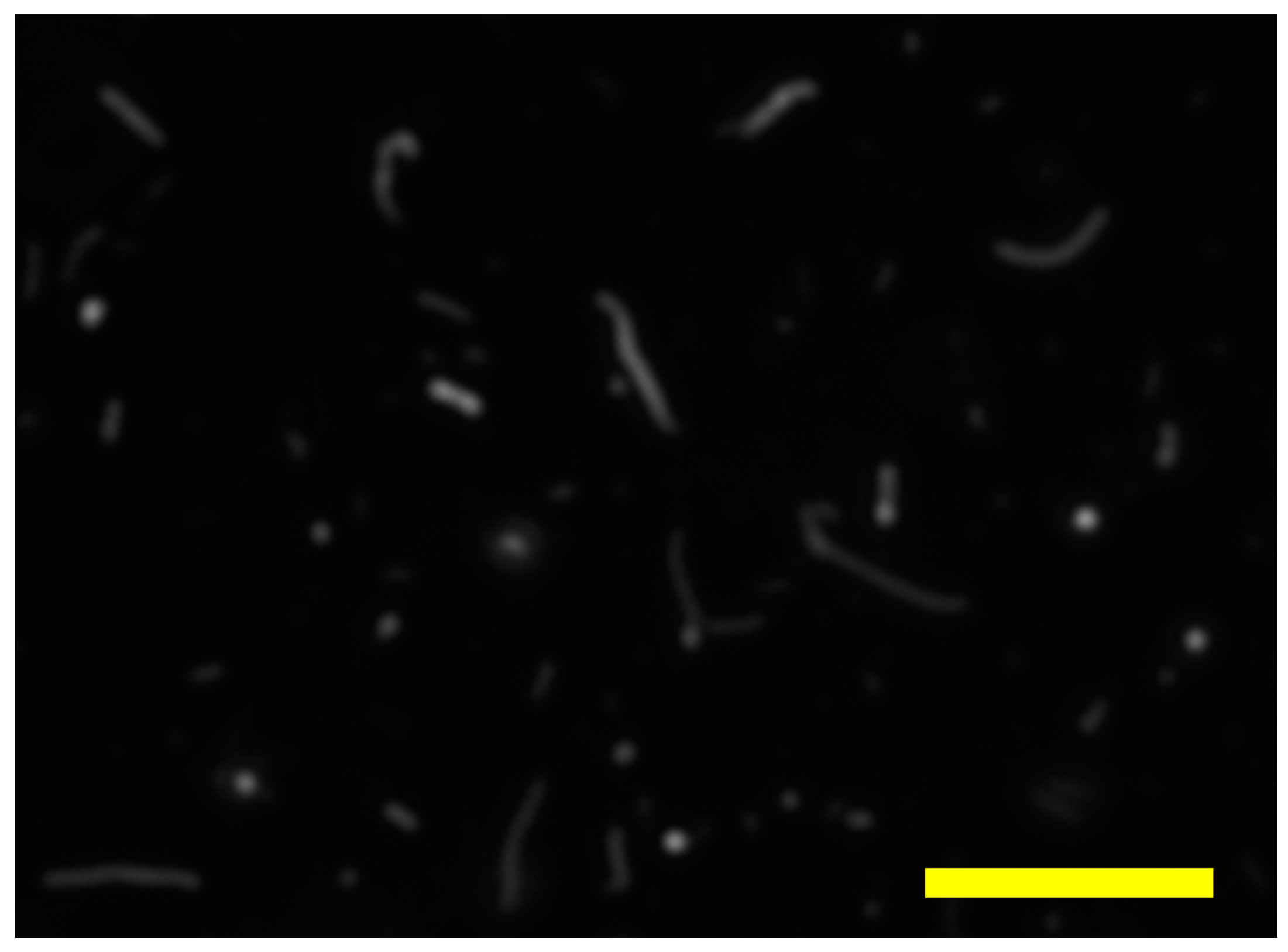 Sensors 18 01670 g003