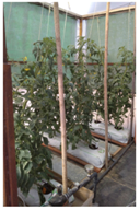 Sensors 18 01731 i003 Sensors 18 01731 i003