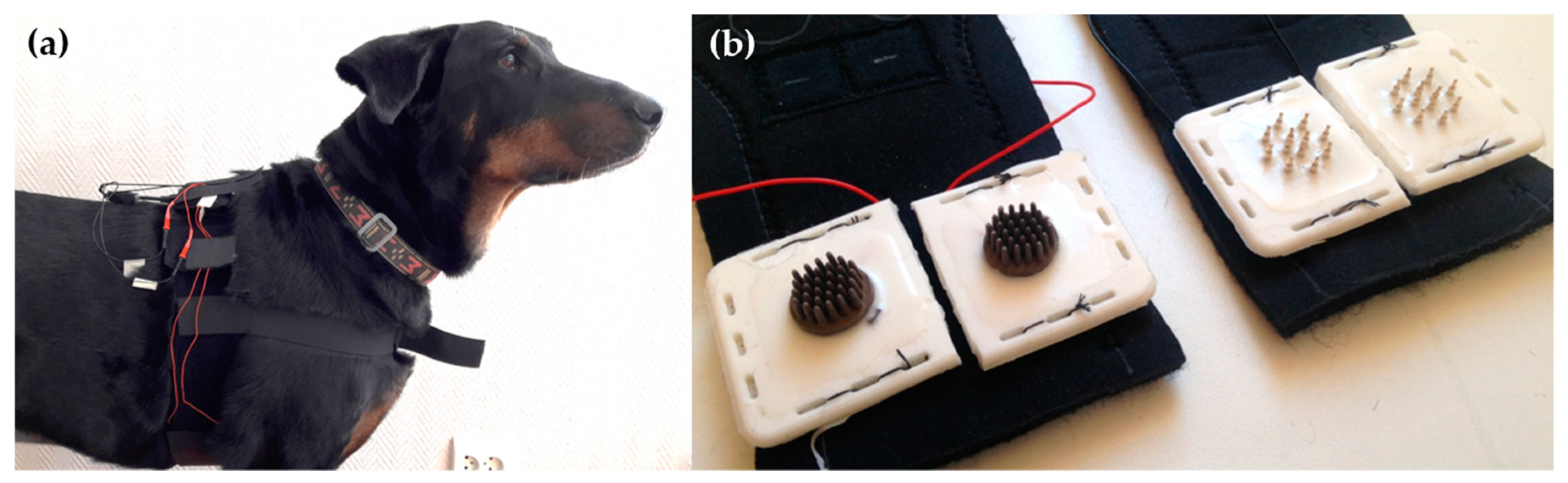 Sensors 18 01757 g004