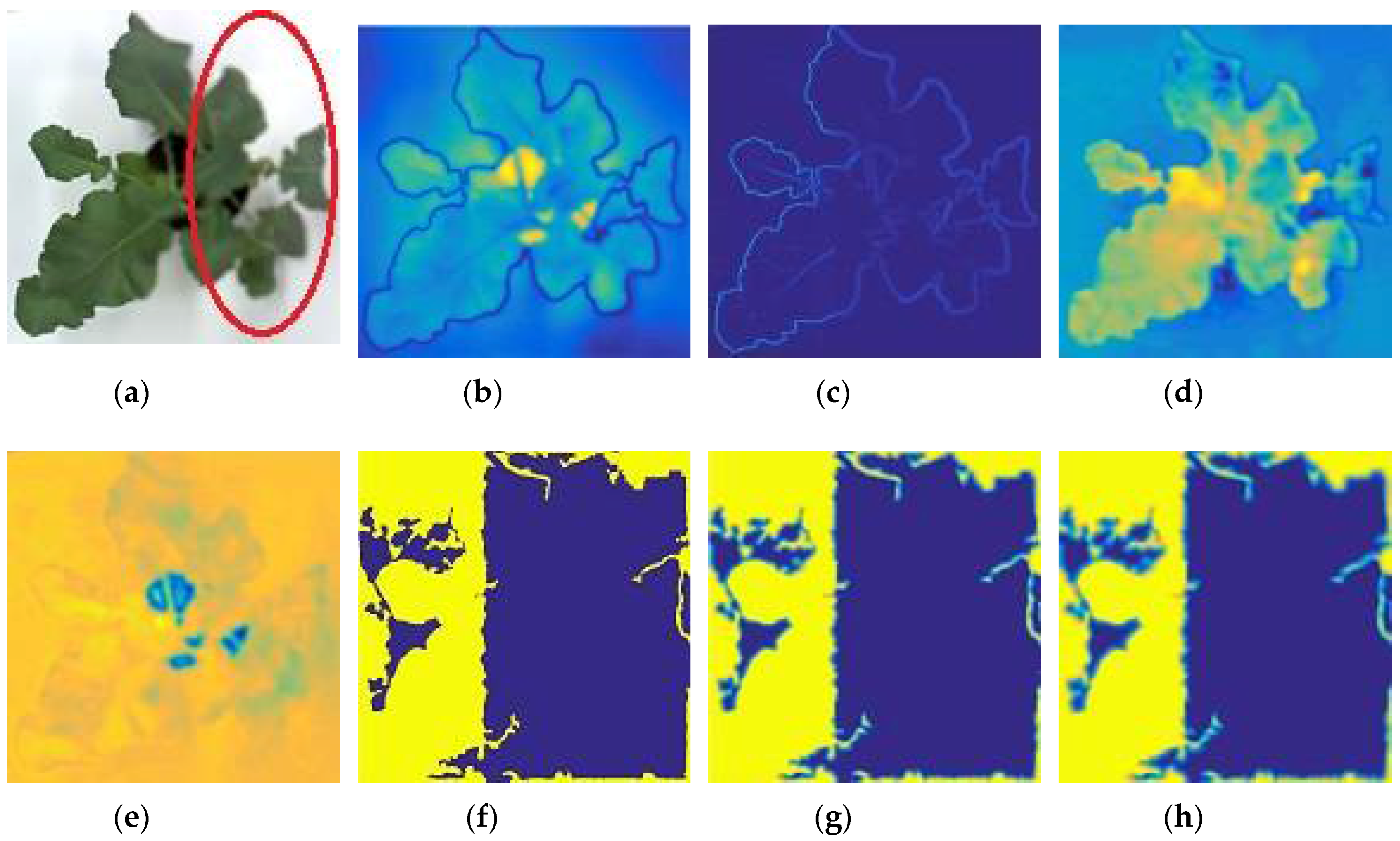Sensors 18 01887 g003