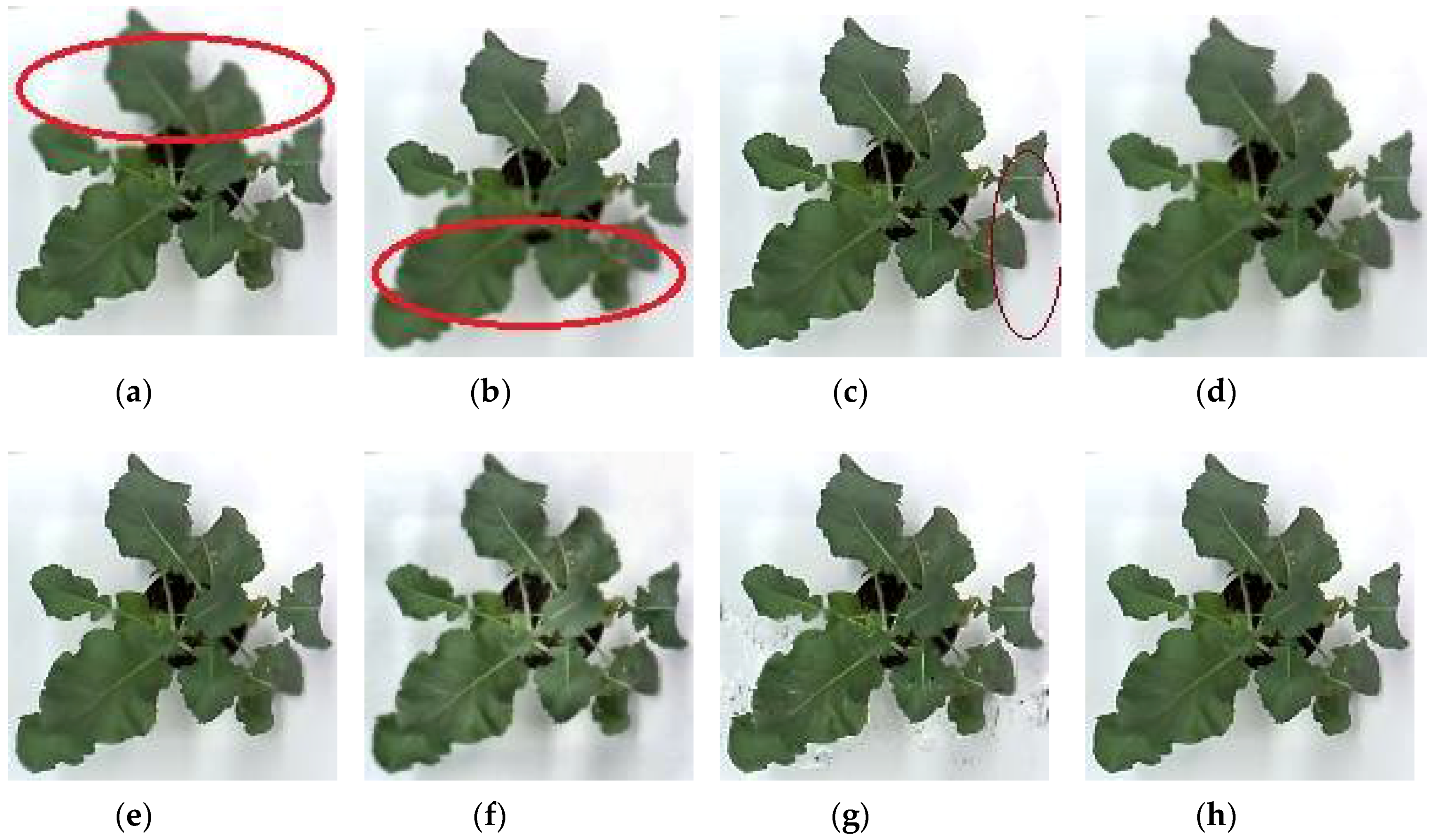 Sensors 18 01887 g004
