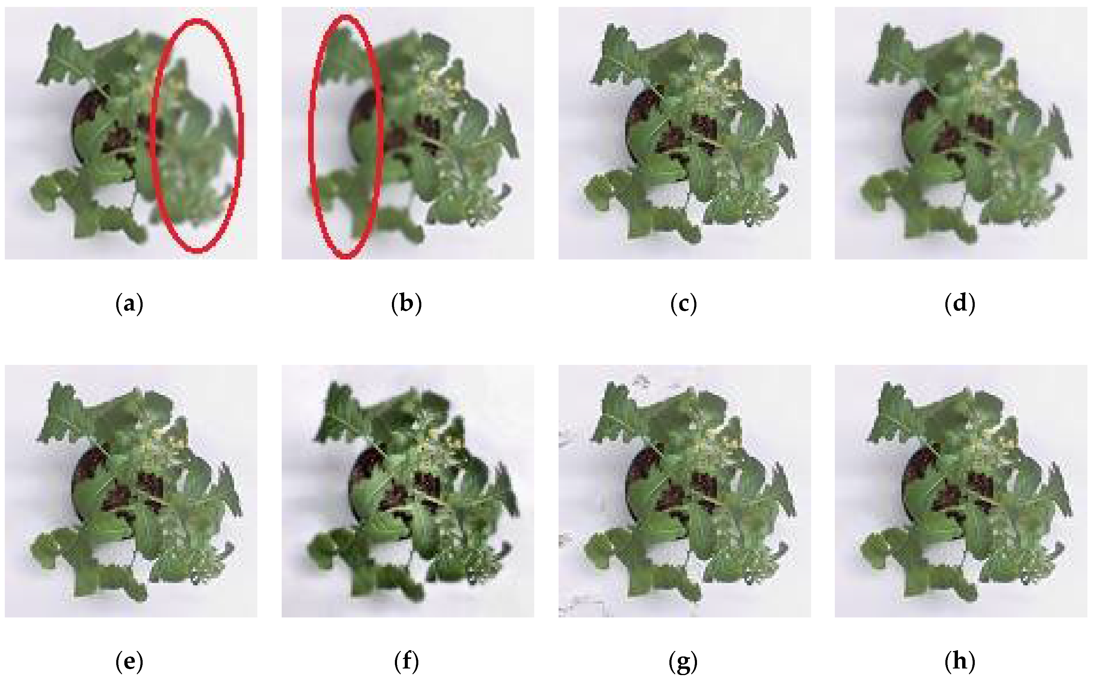 Sensors 18 01887 g005