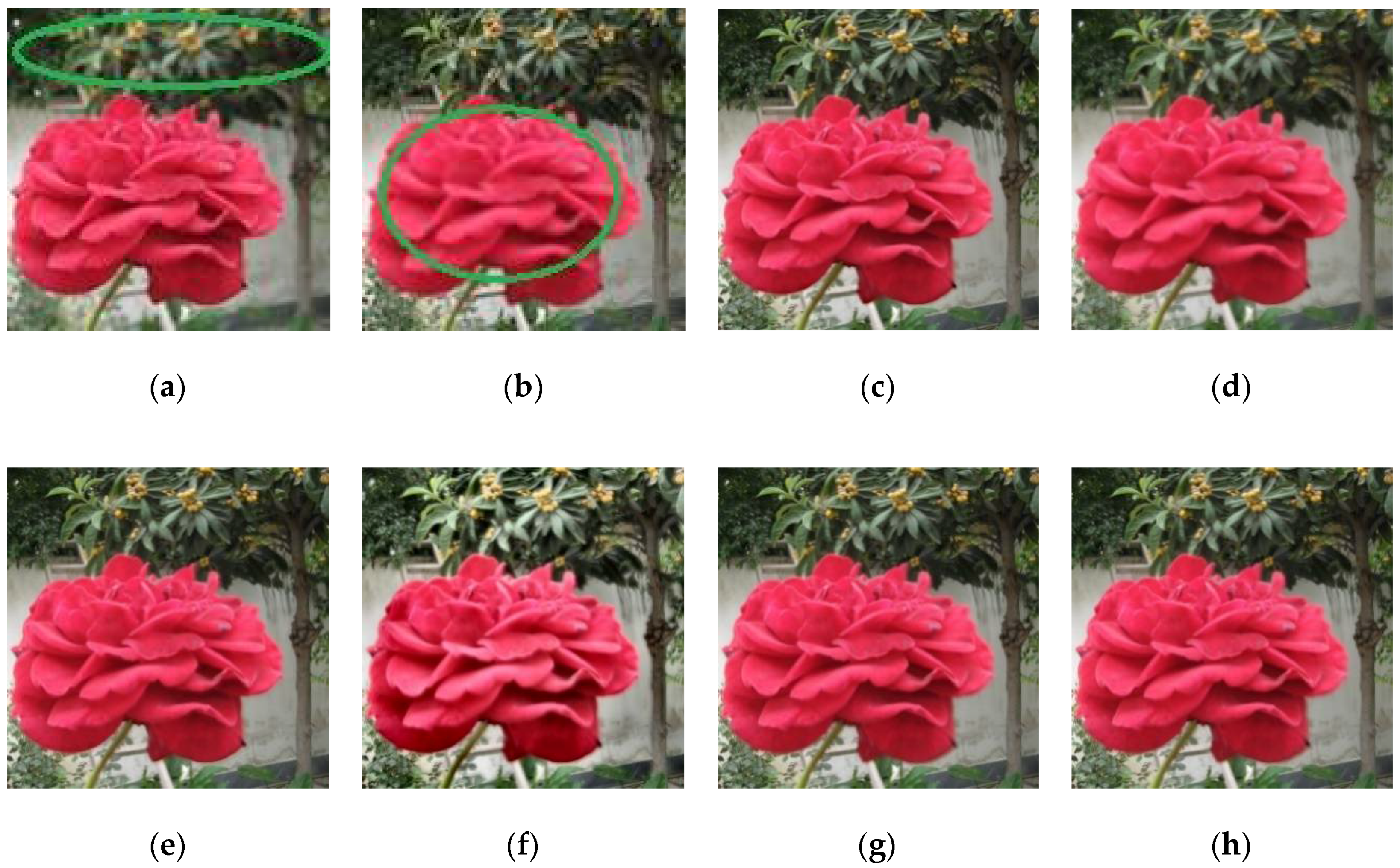 Sensors 18 01887 g007