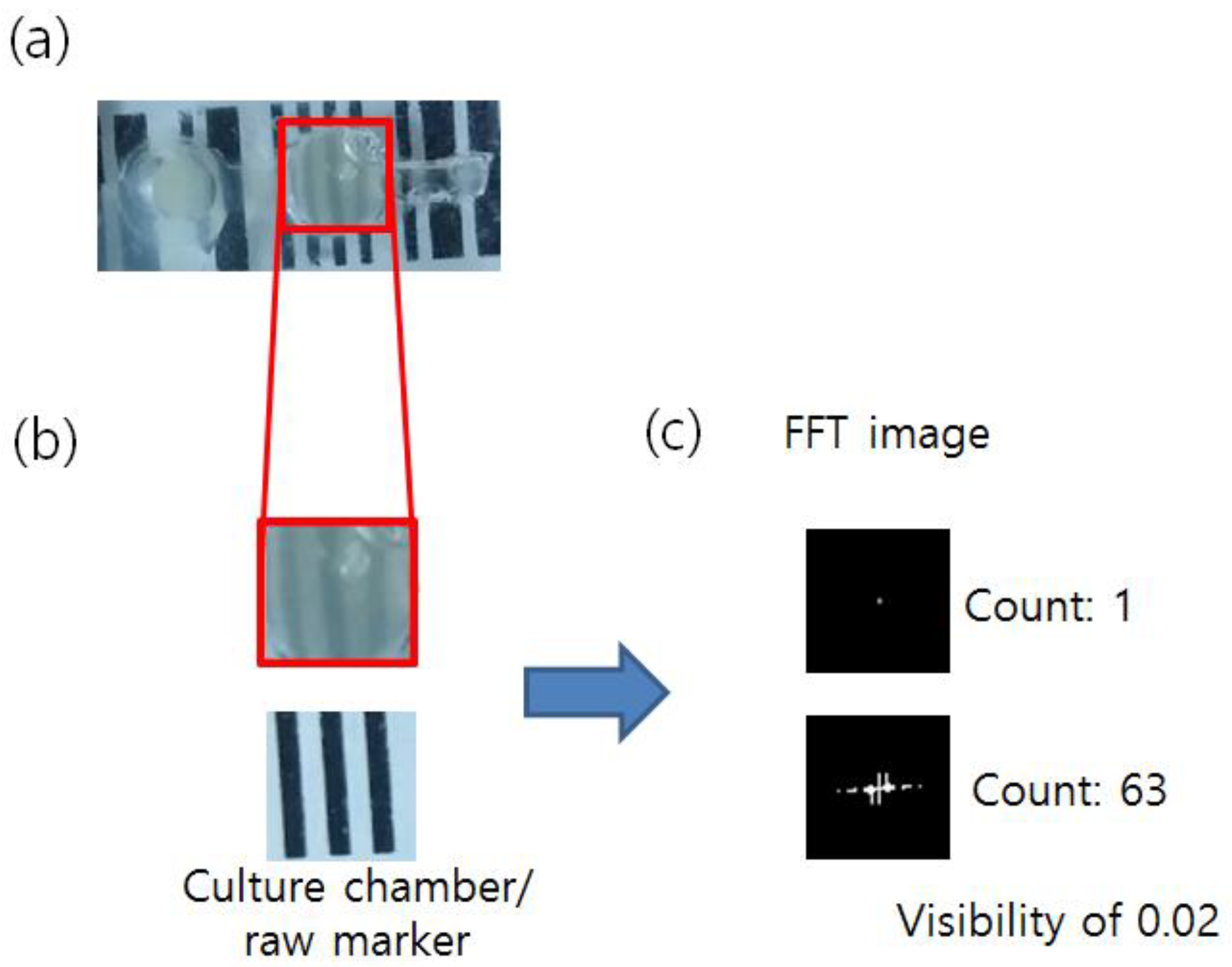 Sensors 18 01896 g004