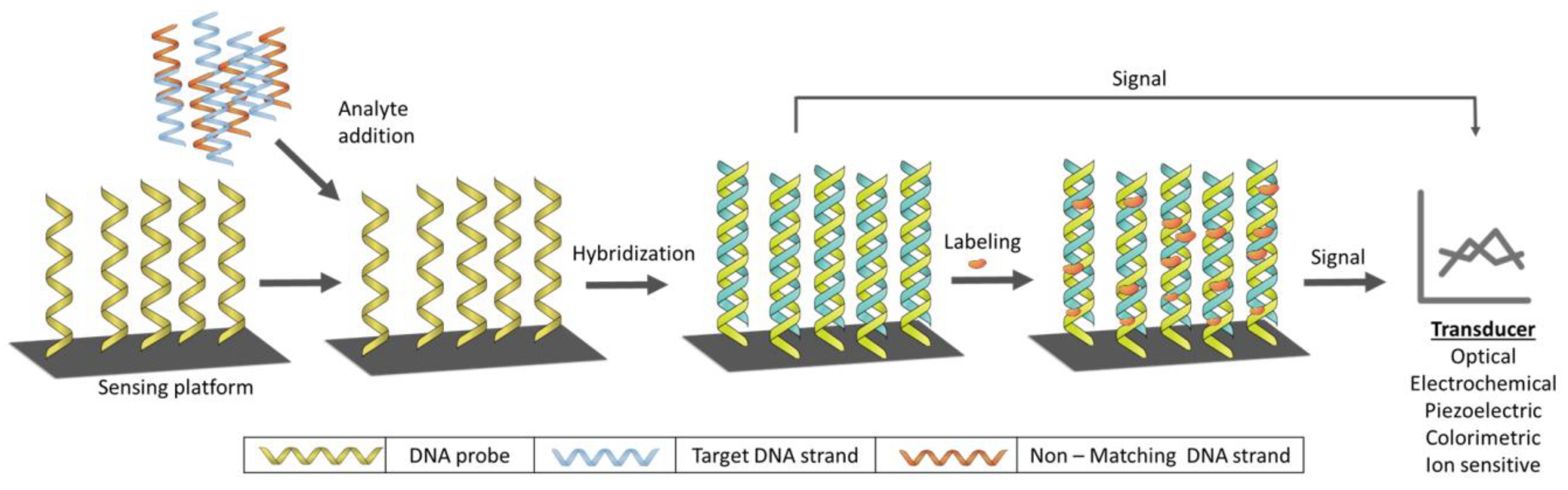 Sensors 18 01924 g002