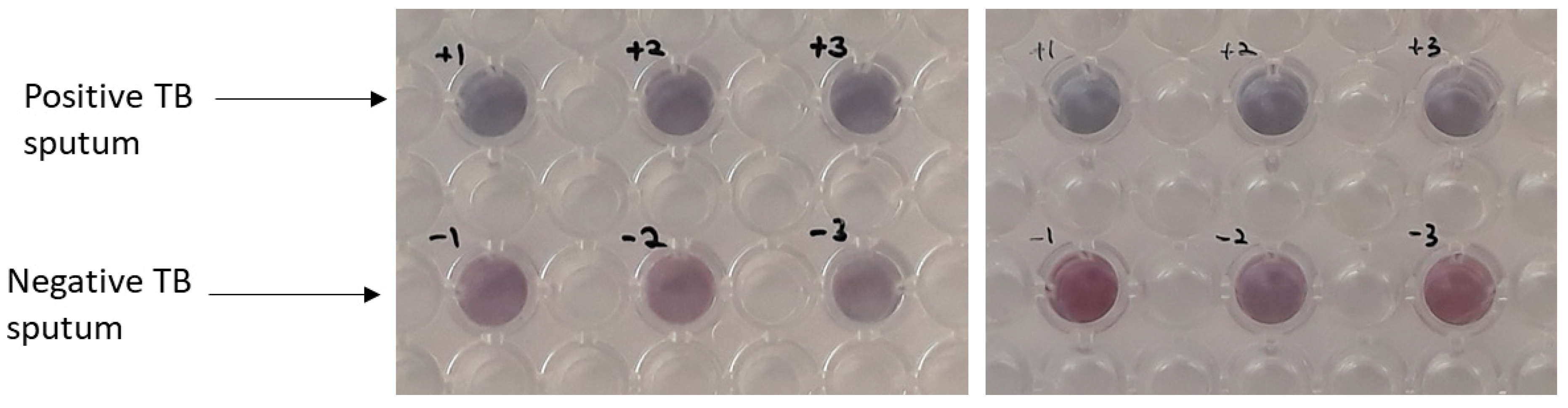Sensors 18 01932 g008