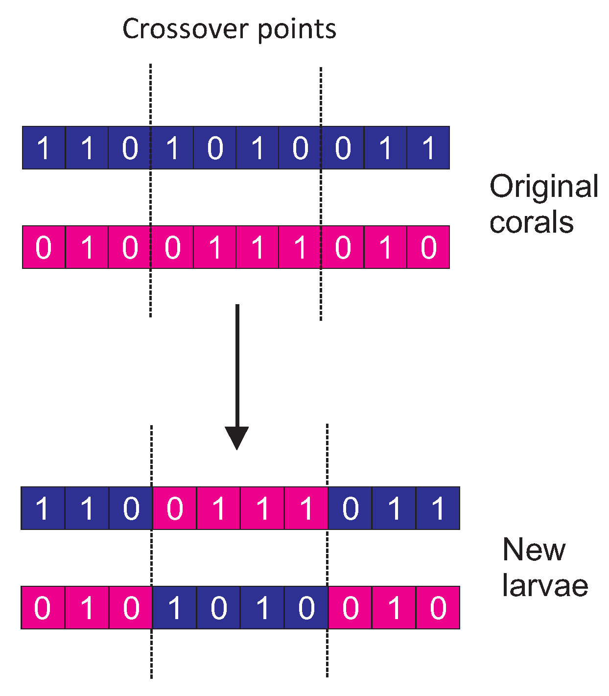 Sensors 18 01982 g004