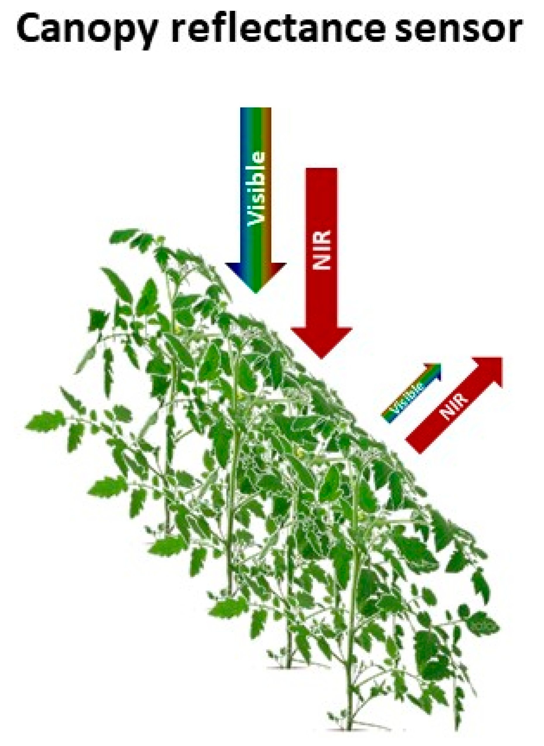Sensors 18 02083 g003 Sensors 18 02083 g003