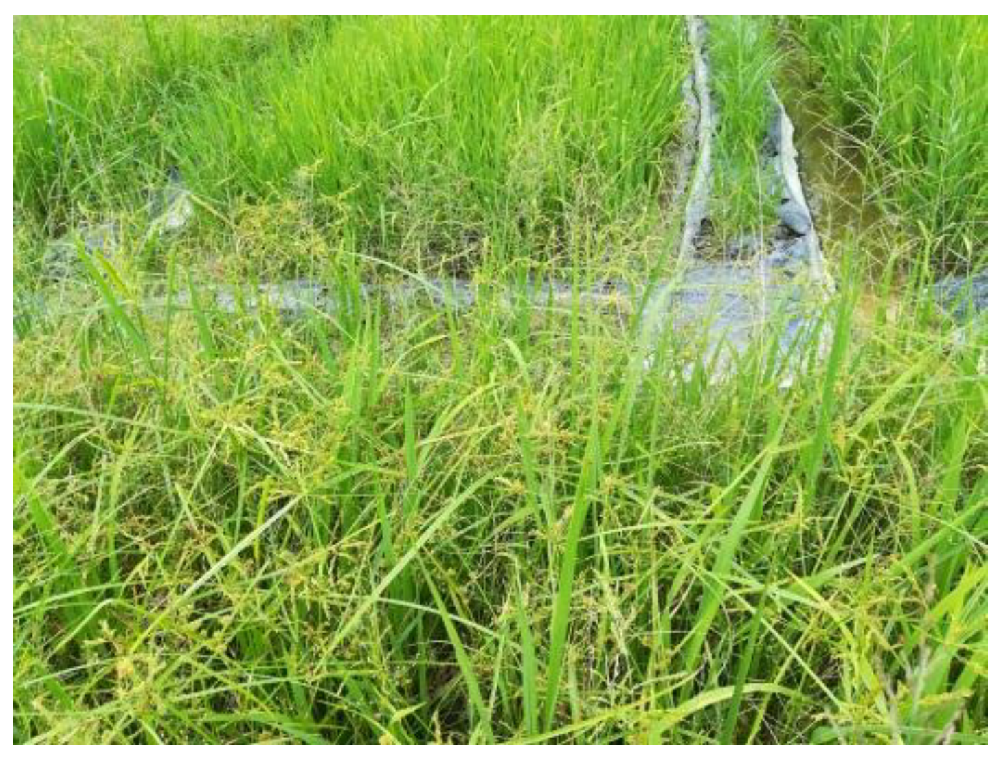 Sensors 18 02113 g002