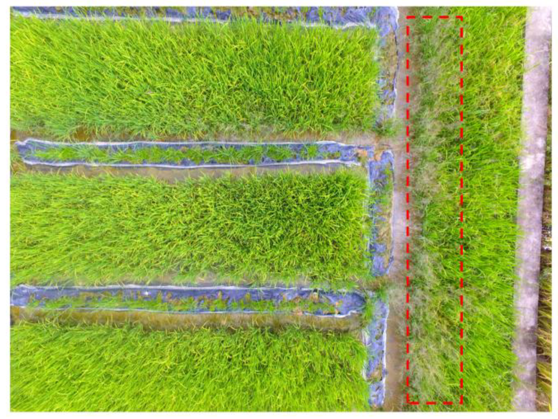 Sensors 18 02113 g003