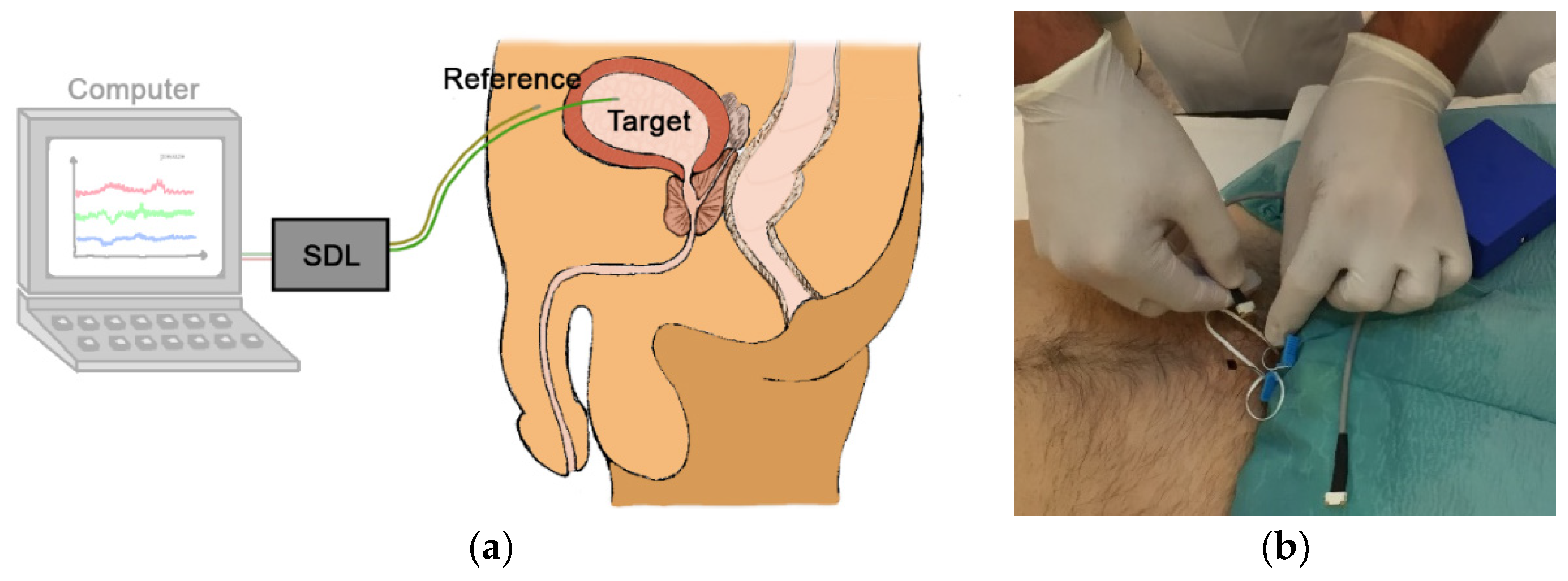 Sensors 18 02128 g004