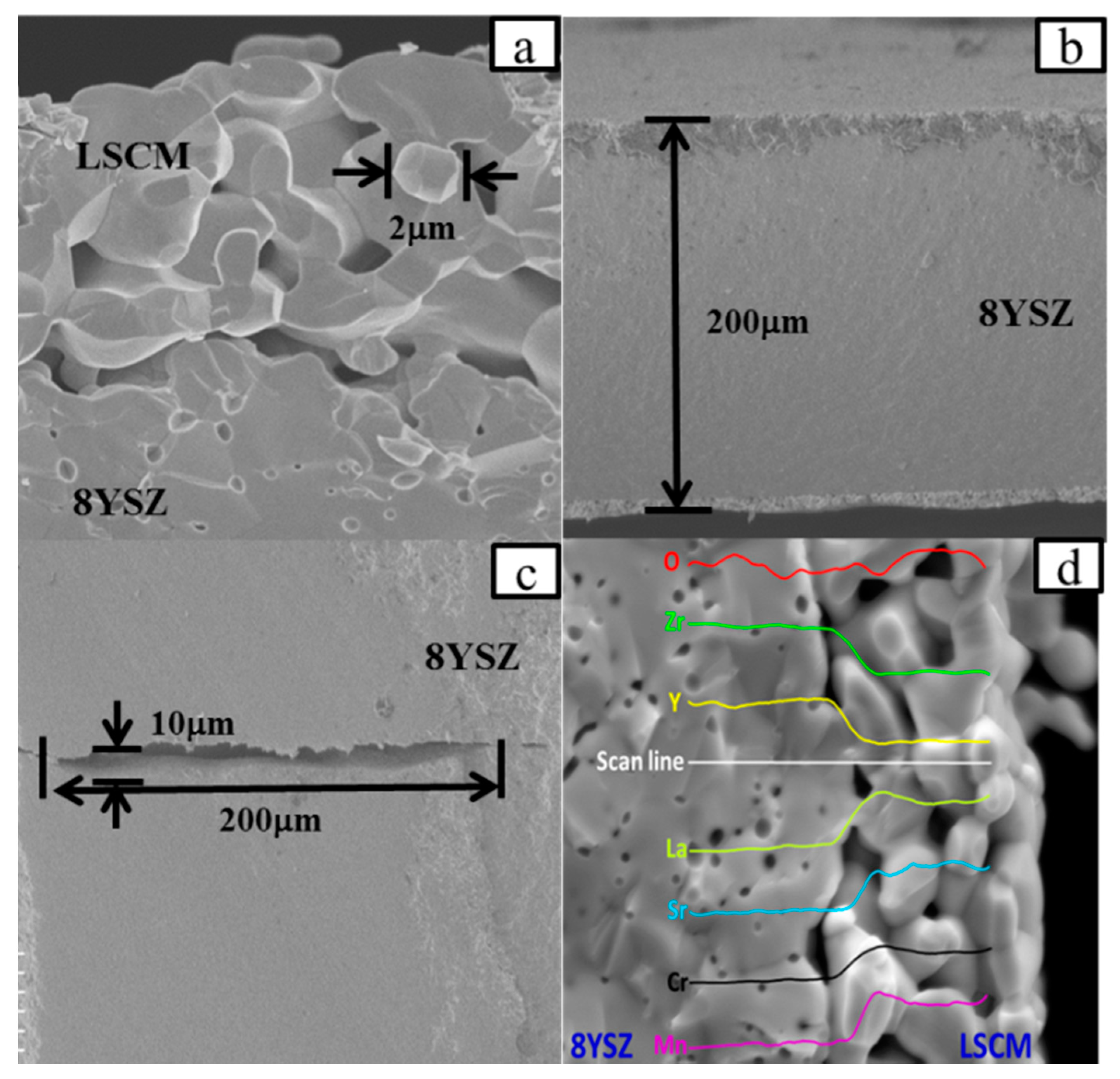 Sensors 18 02155 g003