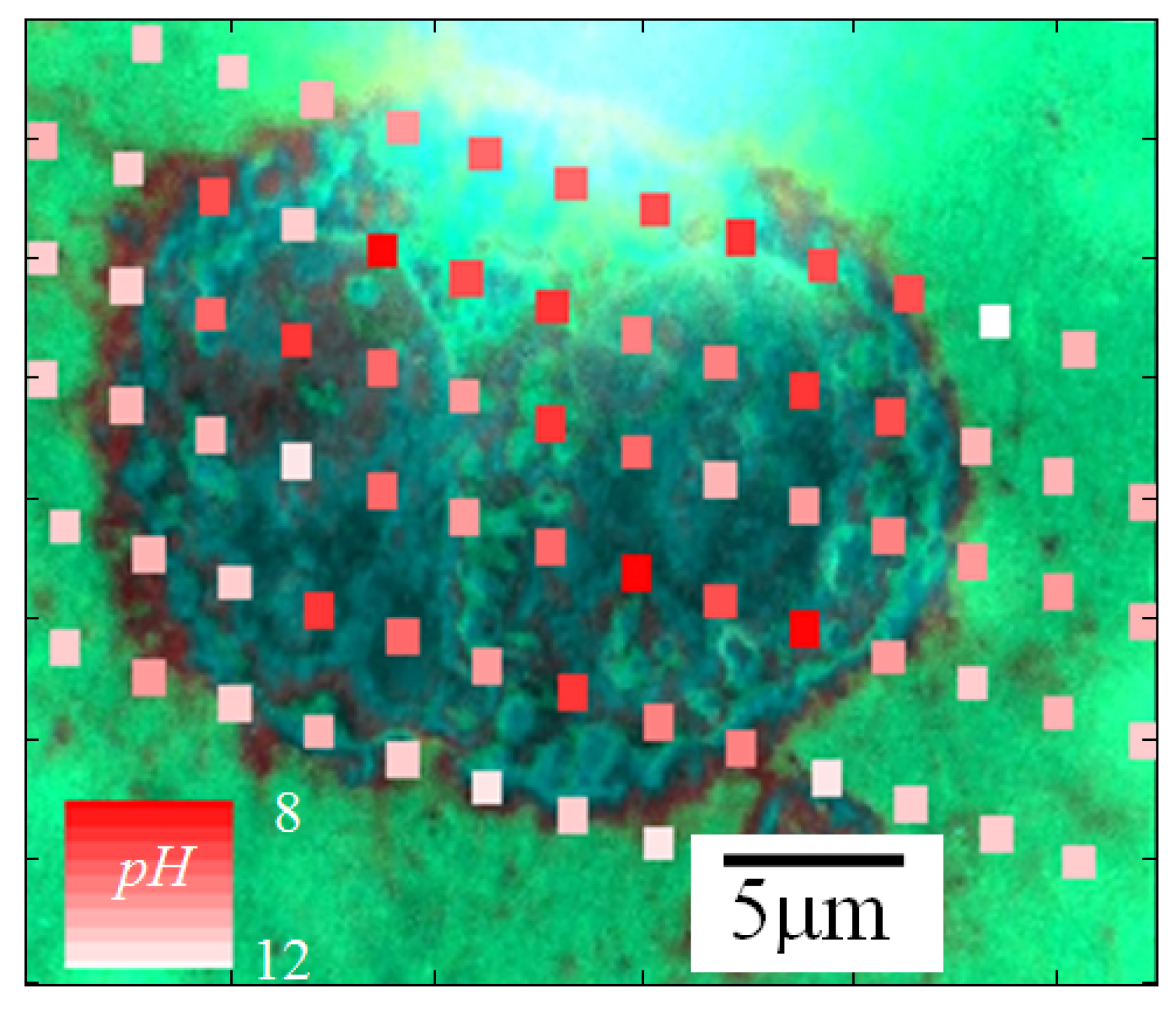 Sensors 18 02242 g007