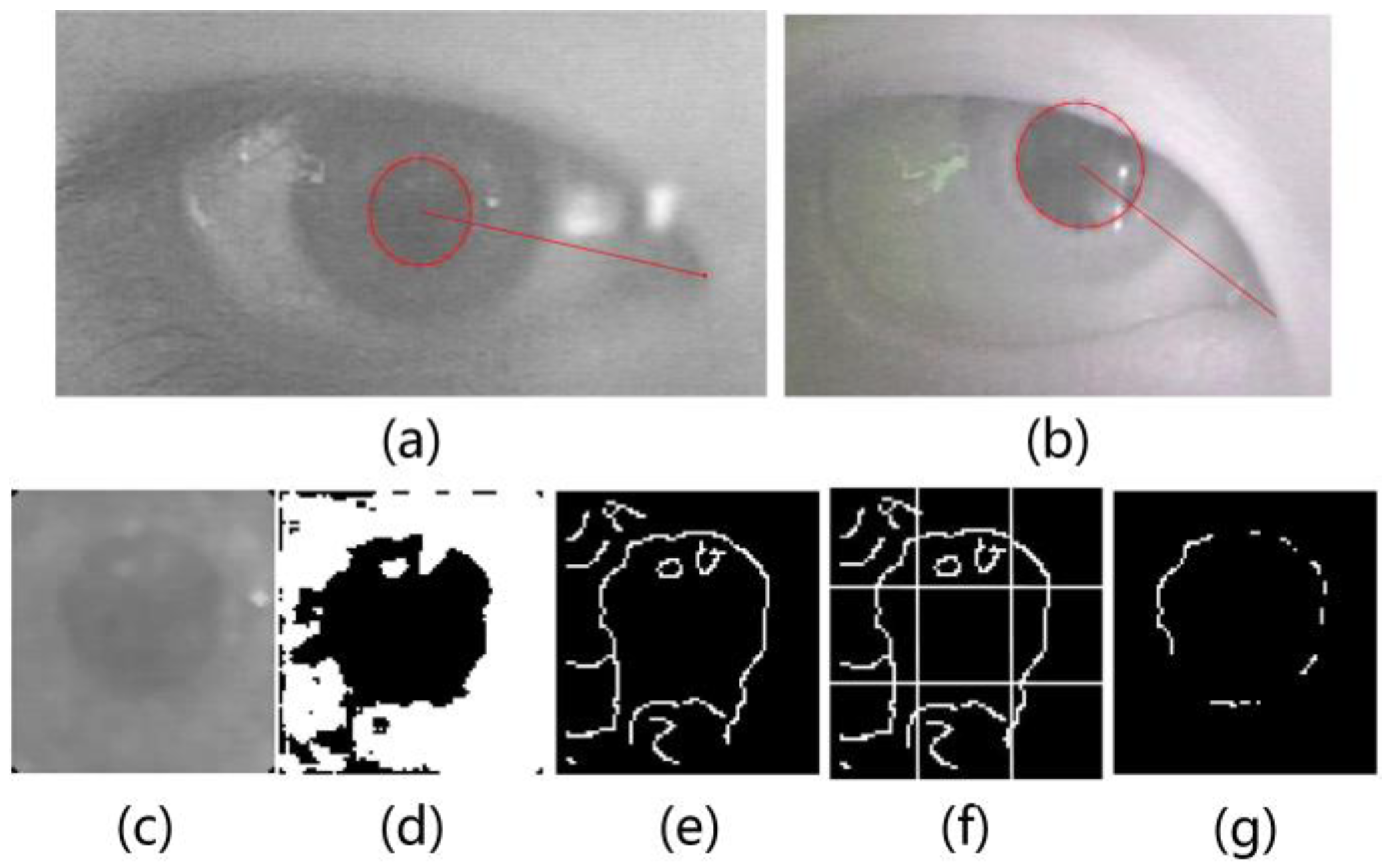 Sensors 18 02292 g006 Sensors 18 02292 g006