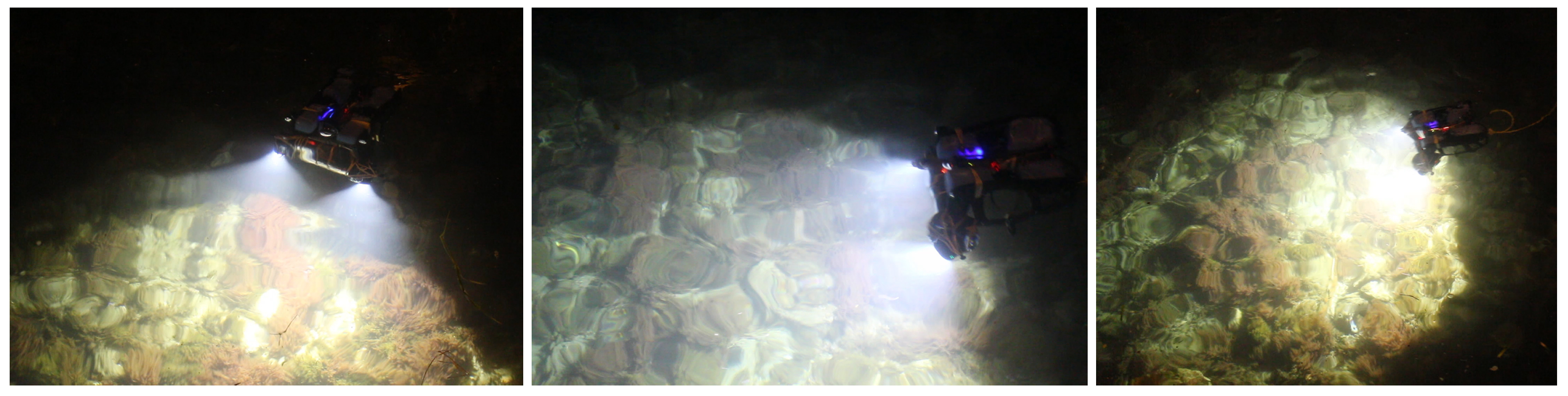 Sensors 18 02313 g004