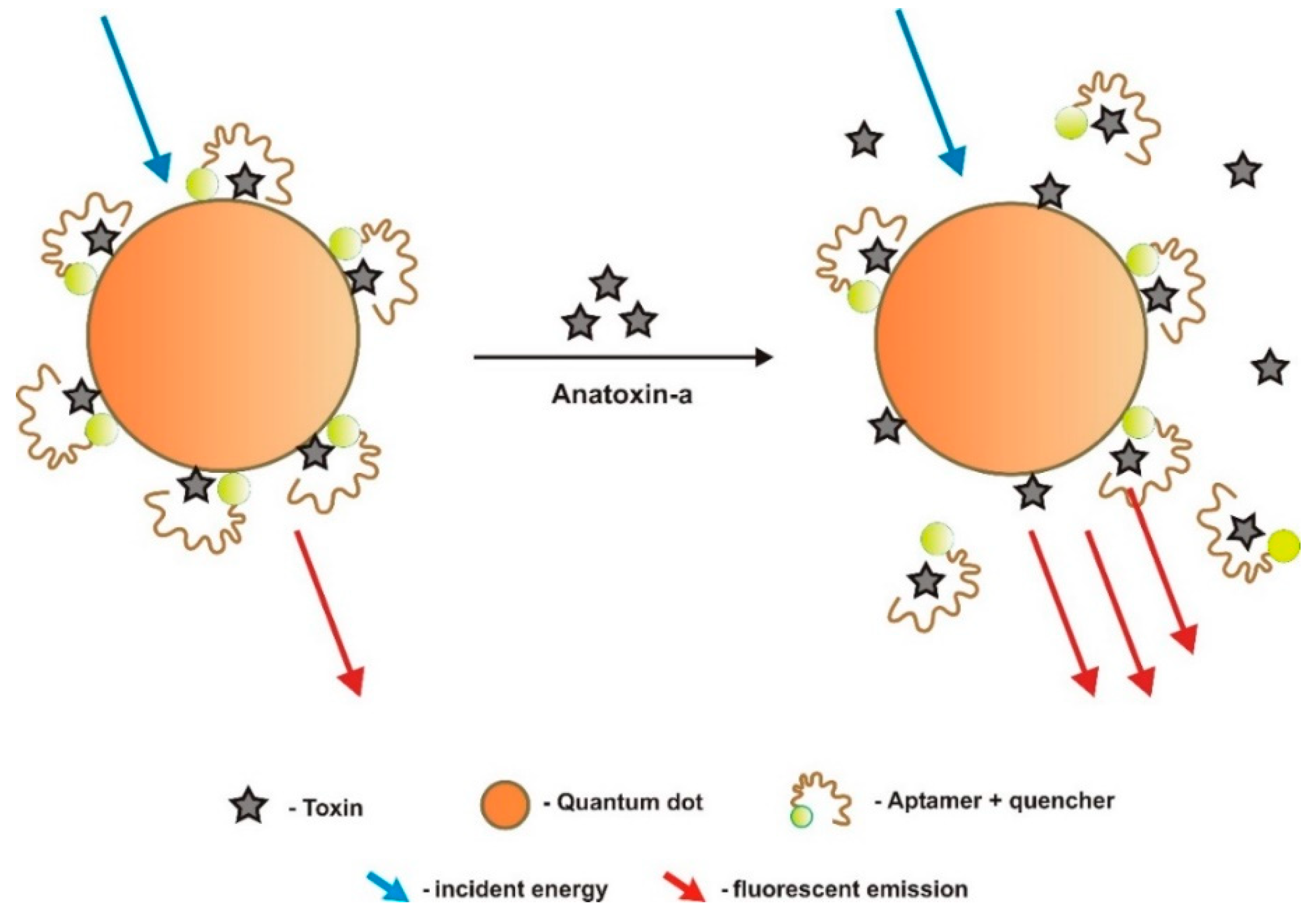 Sensors 18 02367 g001