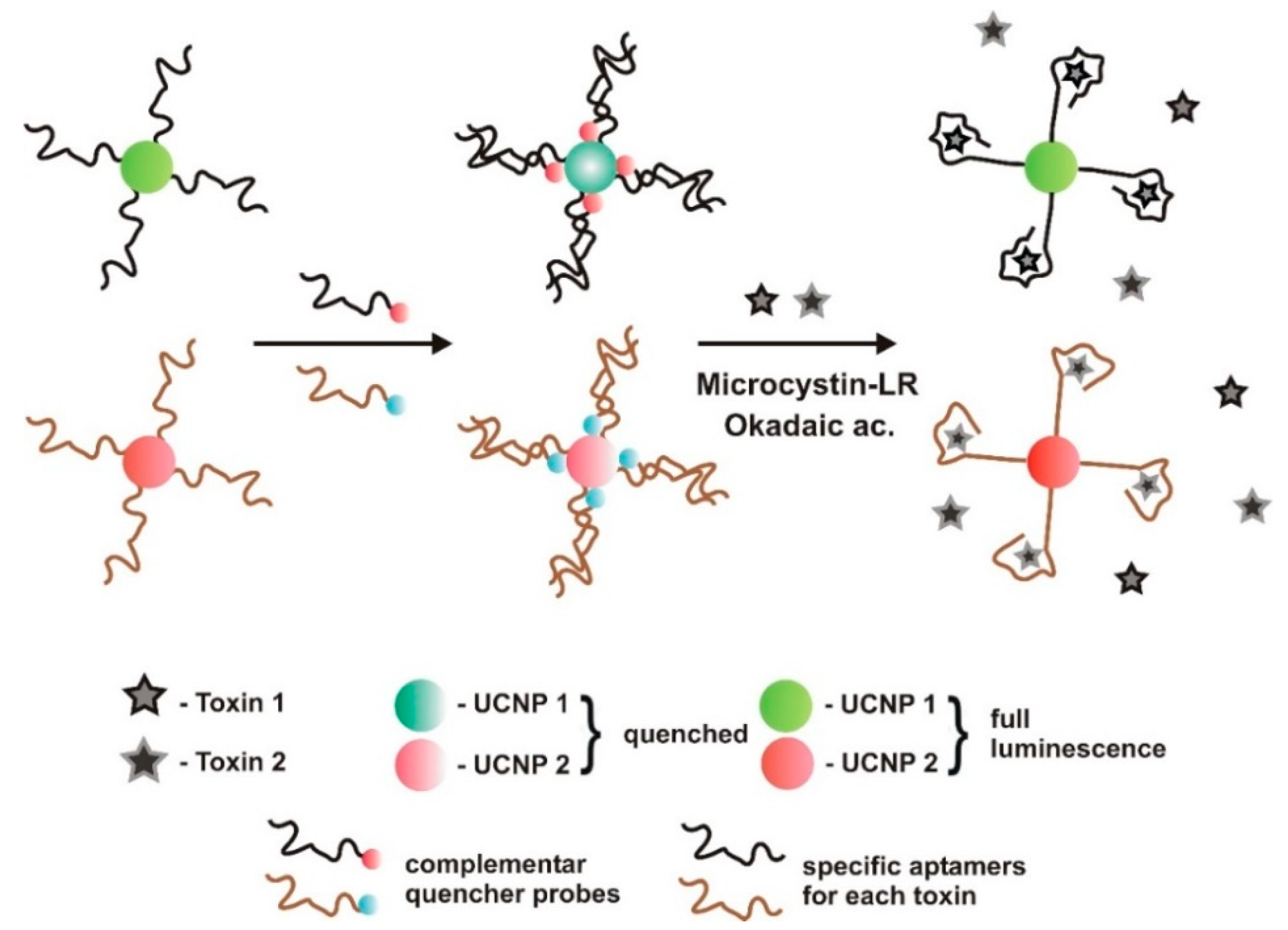 Sensors 18 02367 g004