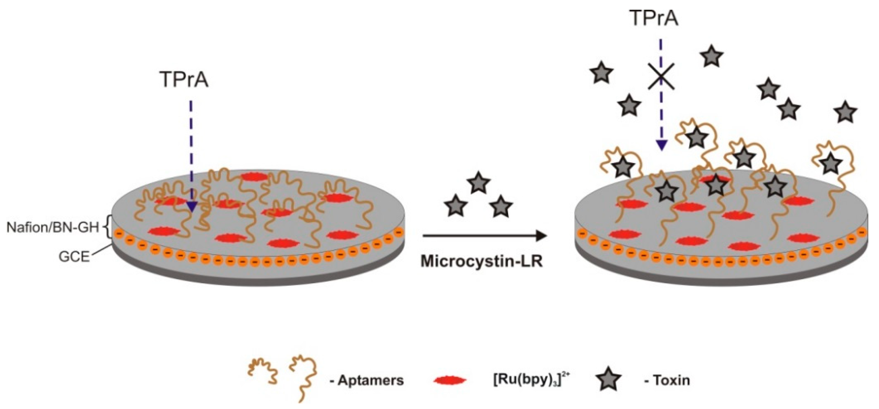 Sensors 18 02367 g005