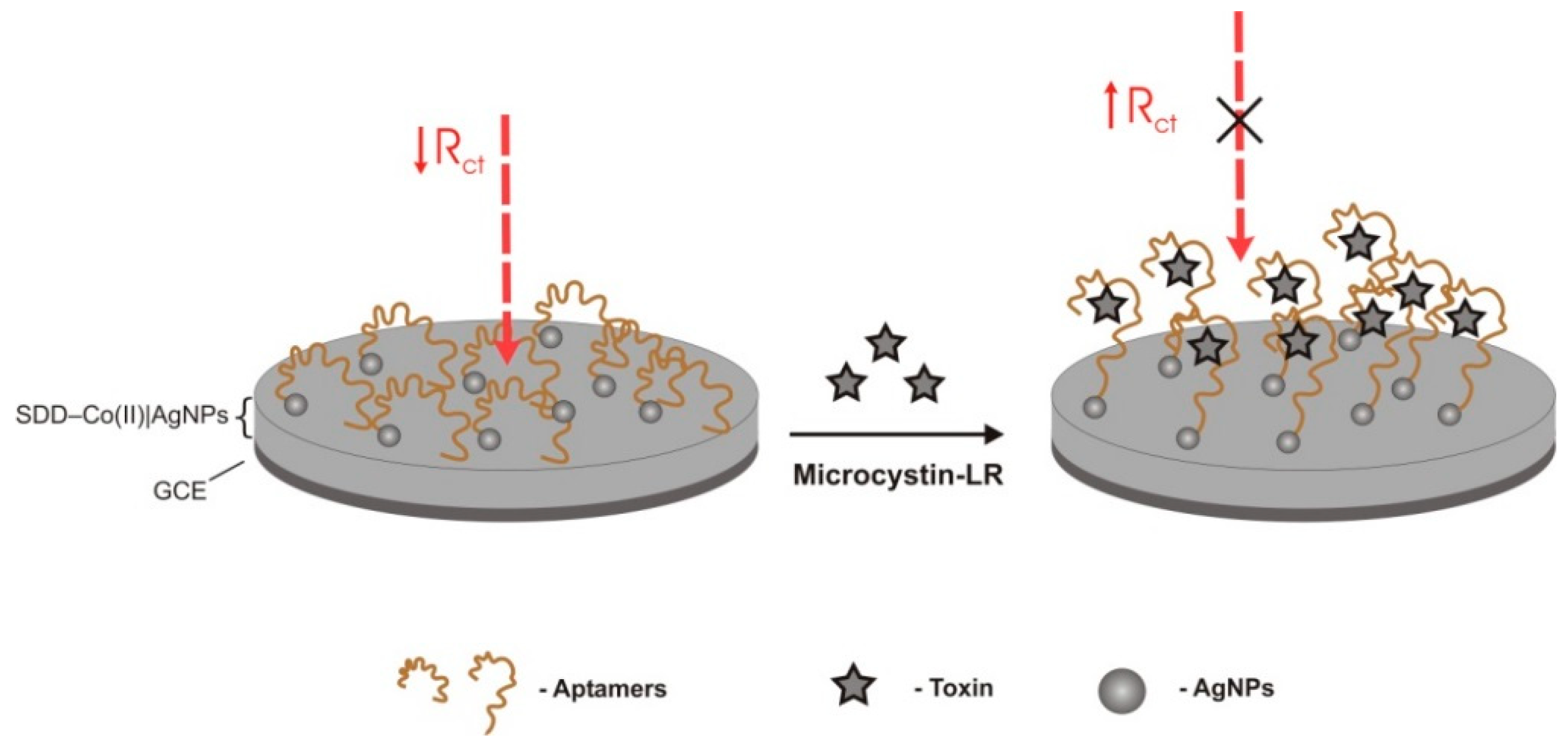 Sensors 18 02367 g006