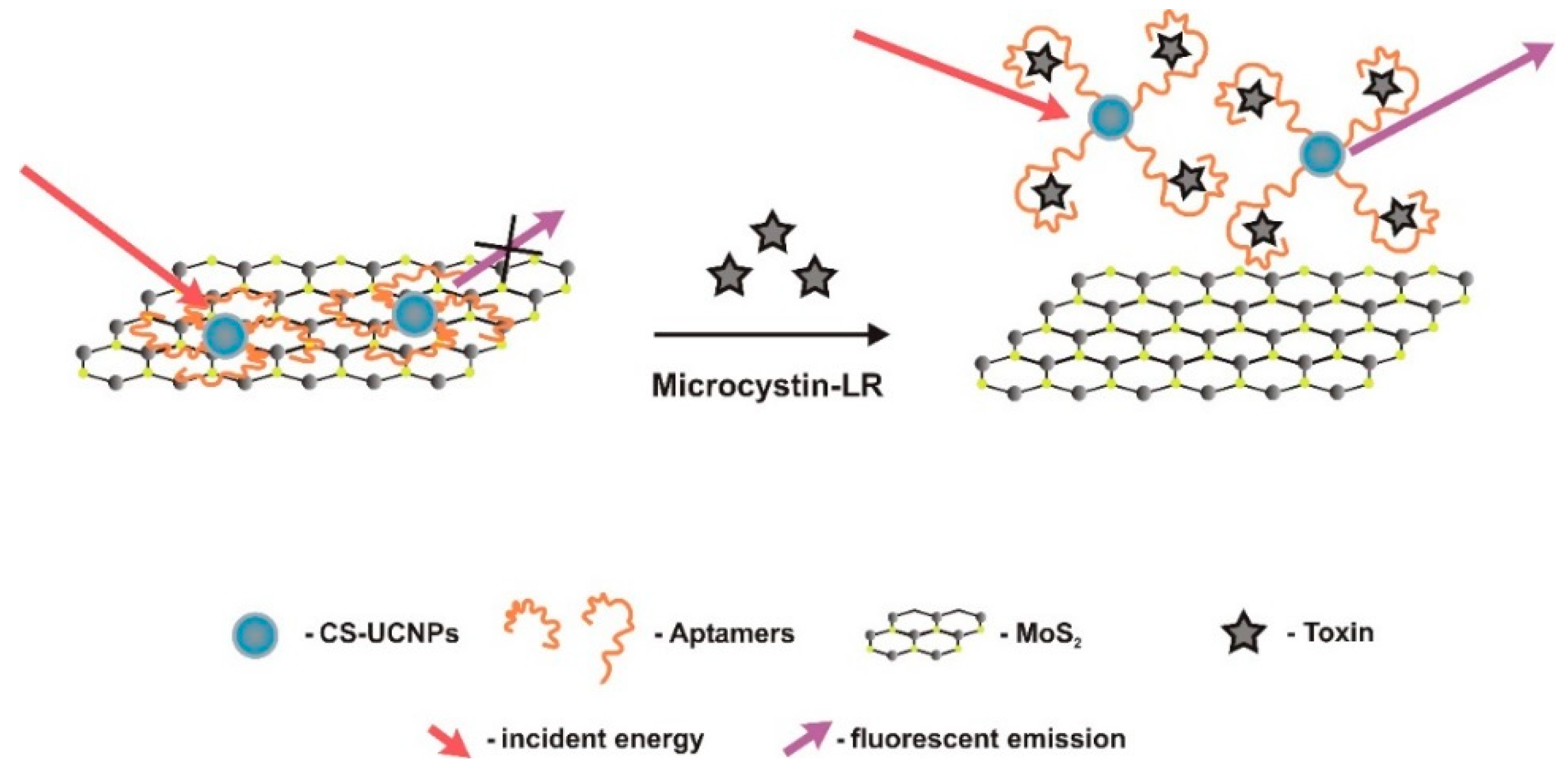 Sensors 18 02367 g009