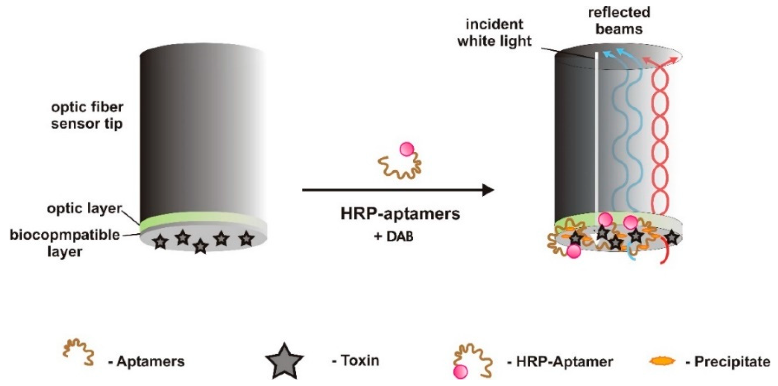Sensors 18 02367 g013