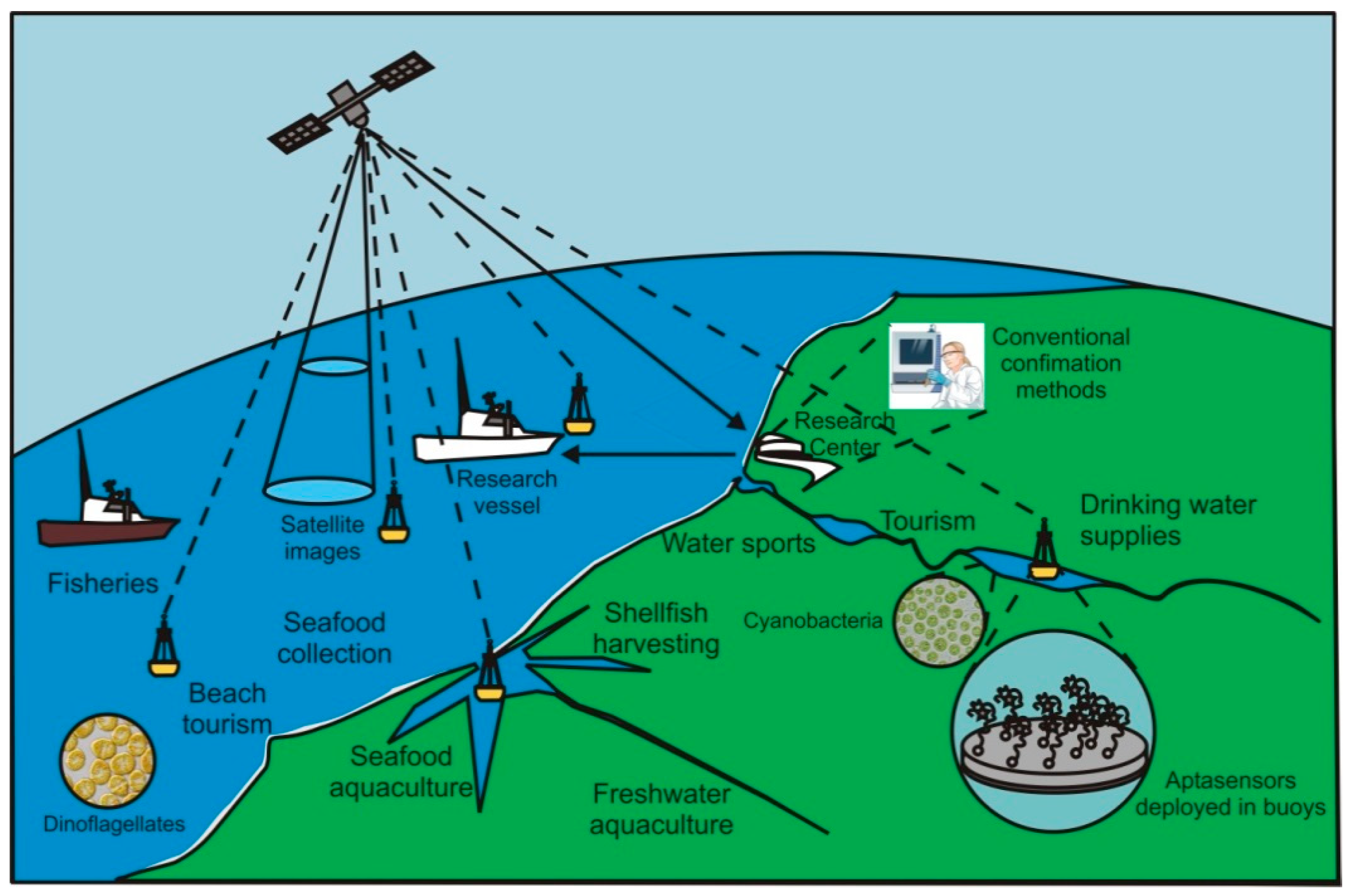 Sensors 18 02367 g015
