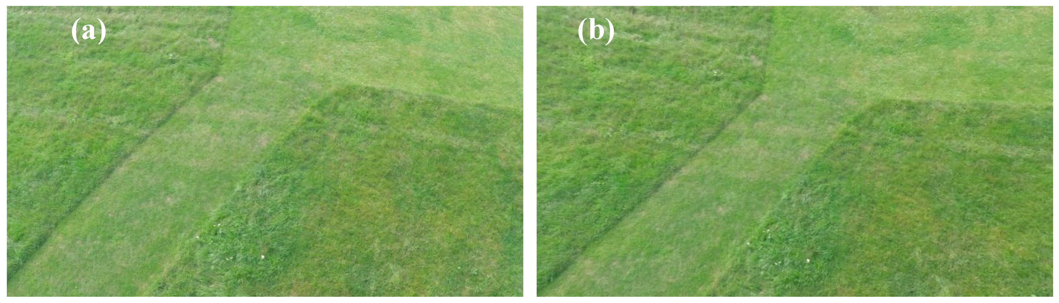 Sensors 18 02433 g008 Sensors 18 02433 g008