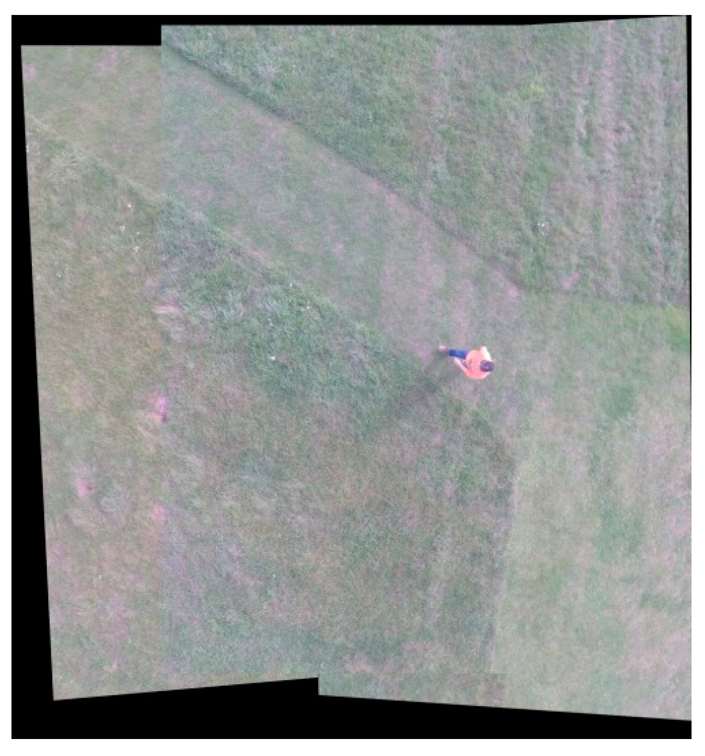 Sensors 18 02433 g010 Sensors 18 02433 g010