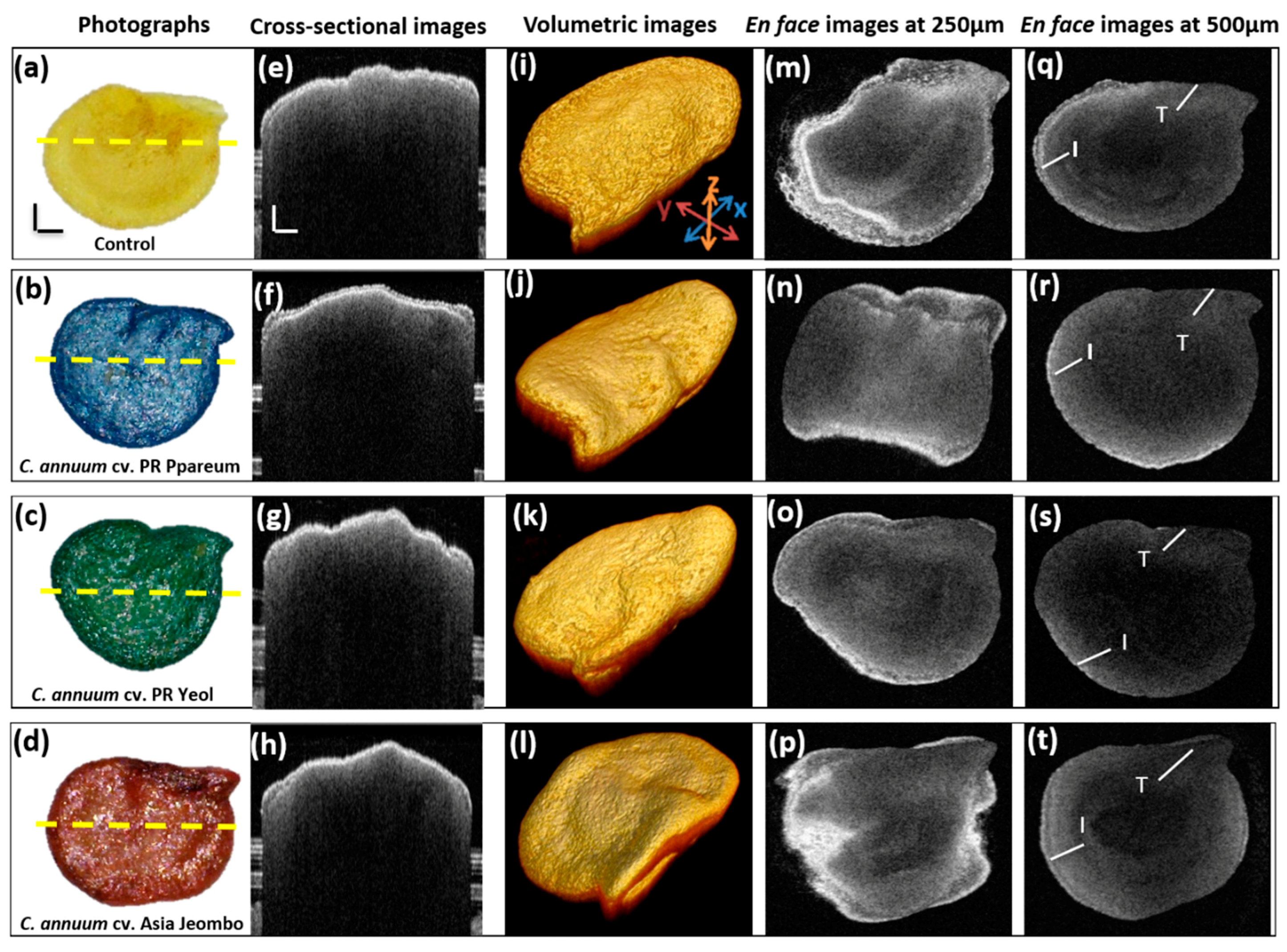 Sensors 18 02500 g003 Sensors 18 02500 g003