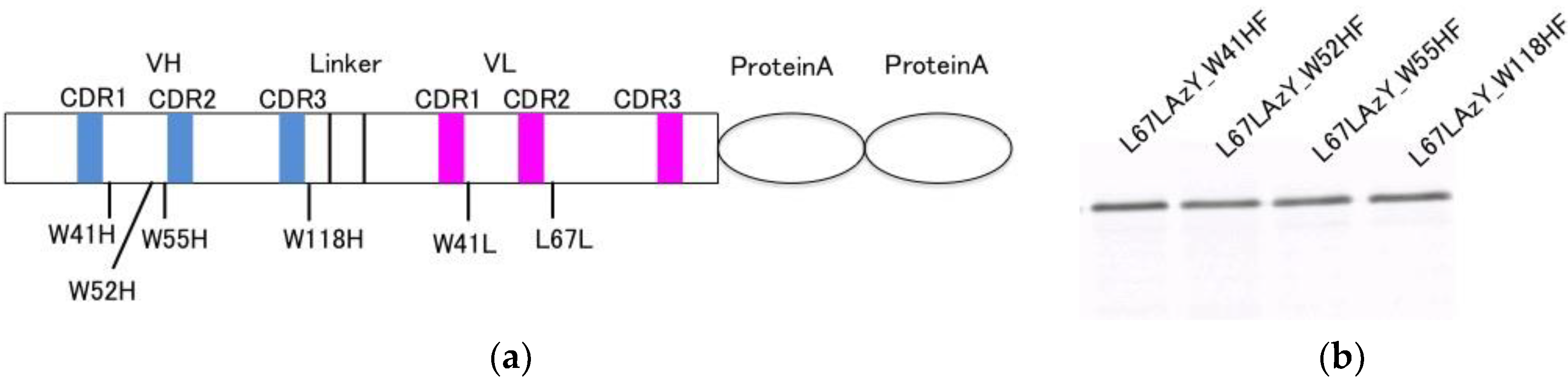 Sensors 18 02519 g004