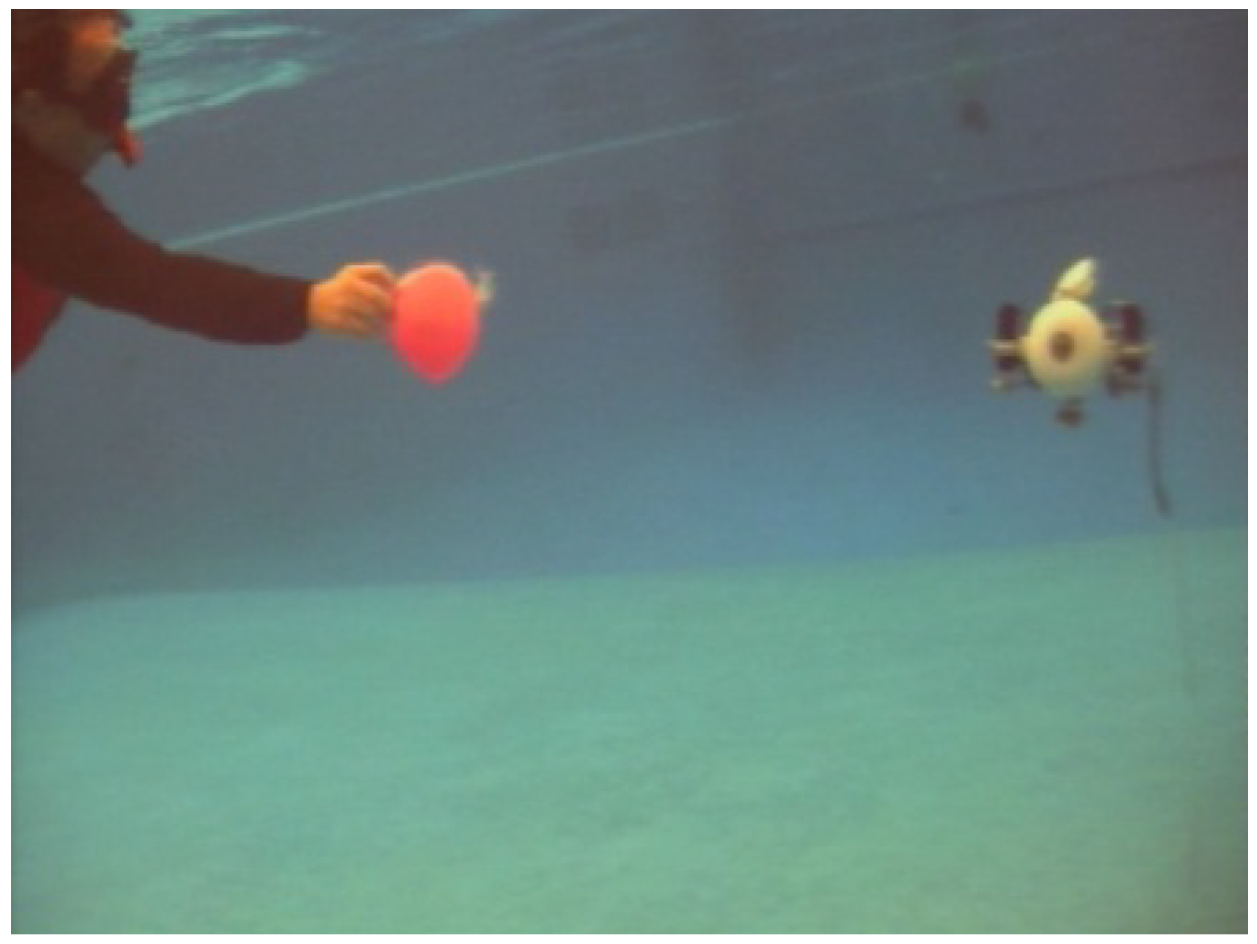 Sensors 18 02574 g008