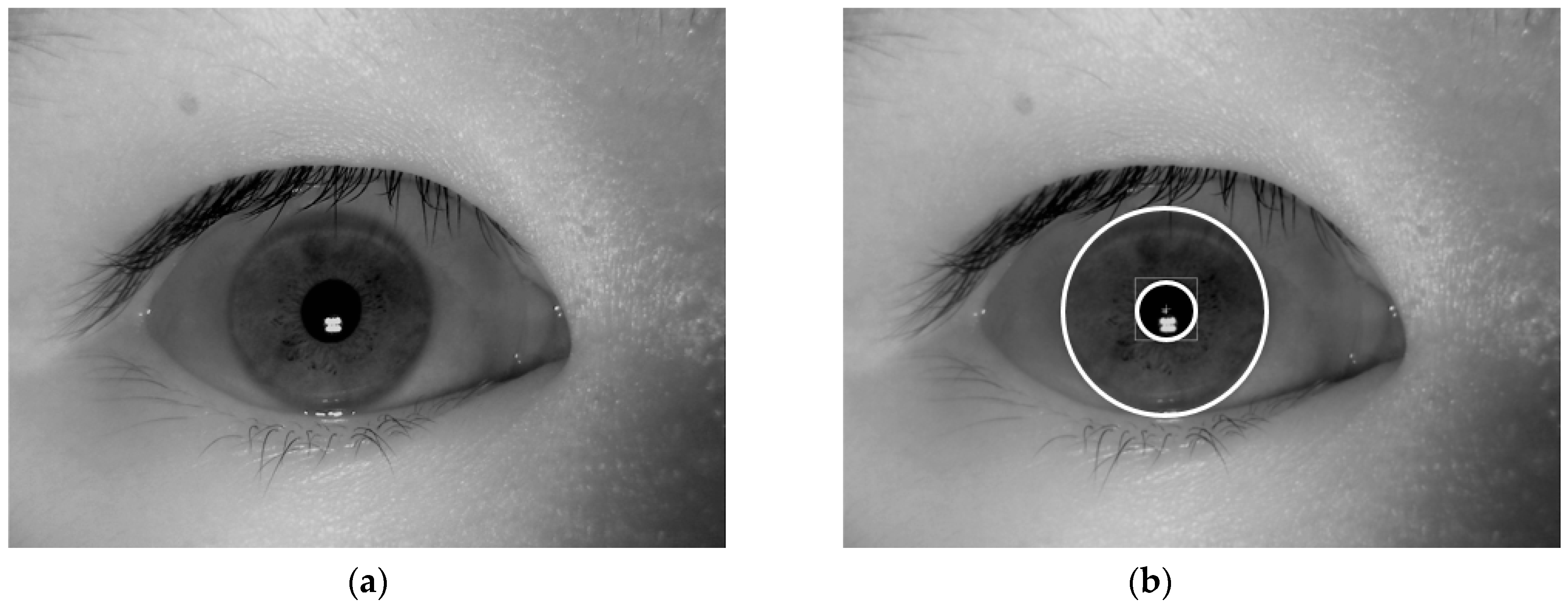 Sensors 18 02601 g002