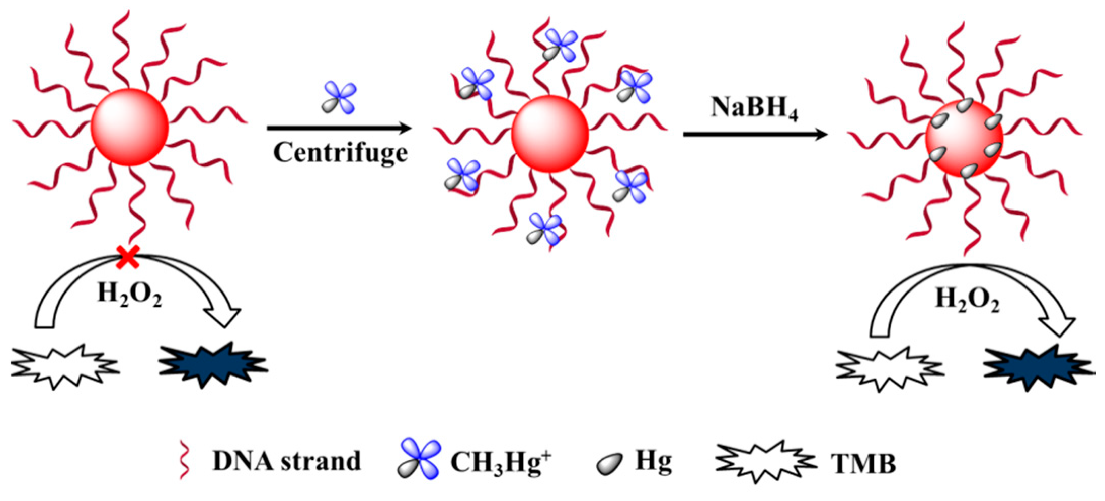 Sensors 18 02679 sch001 Sensors 18 02679 sch001