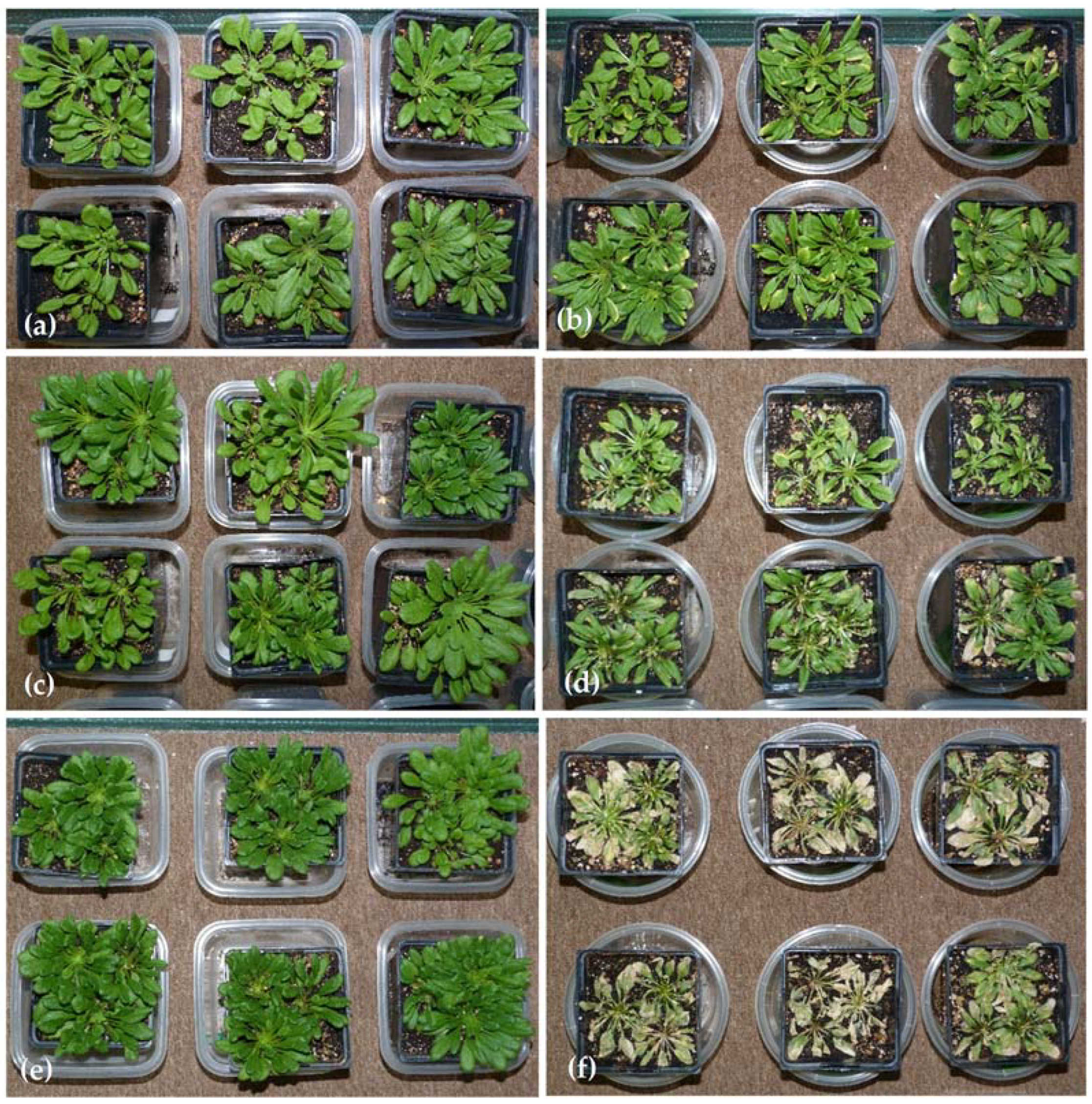 Sensors 18 02750 g003