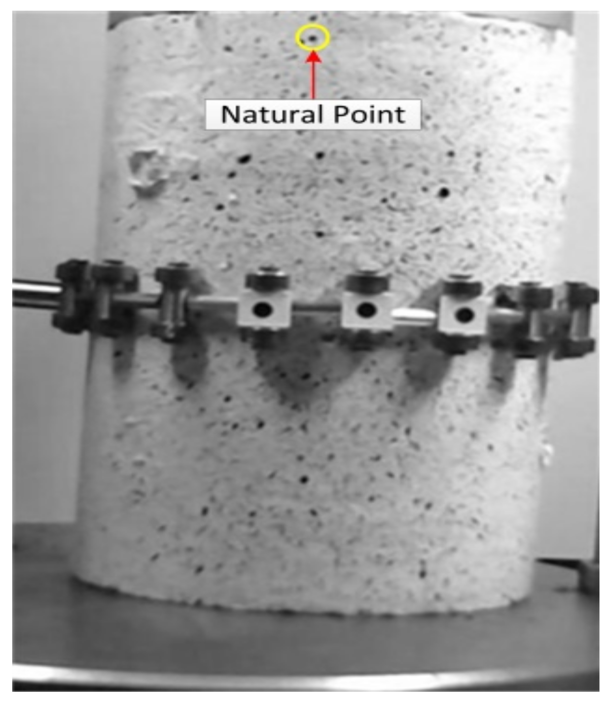 Sensors 18 02754 g007