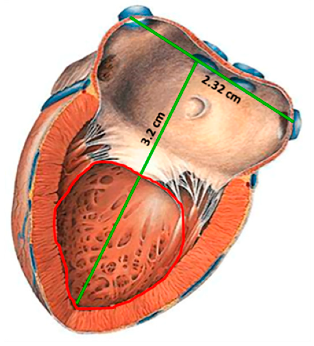 Sensors 18 02781 g001